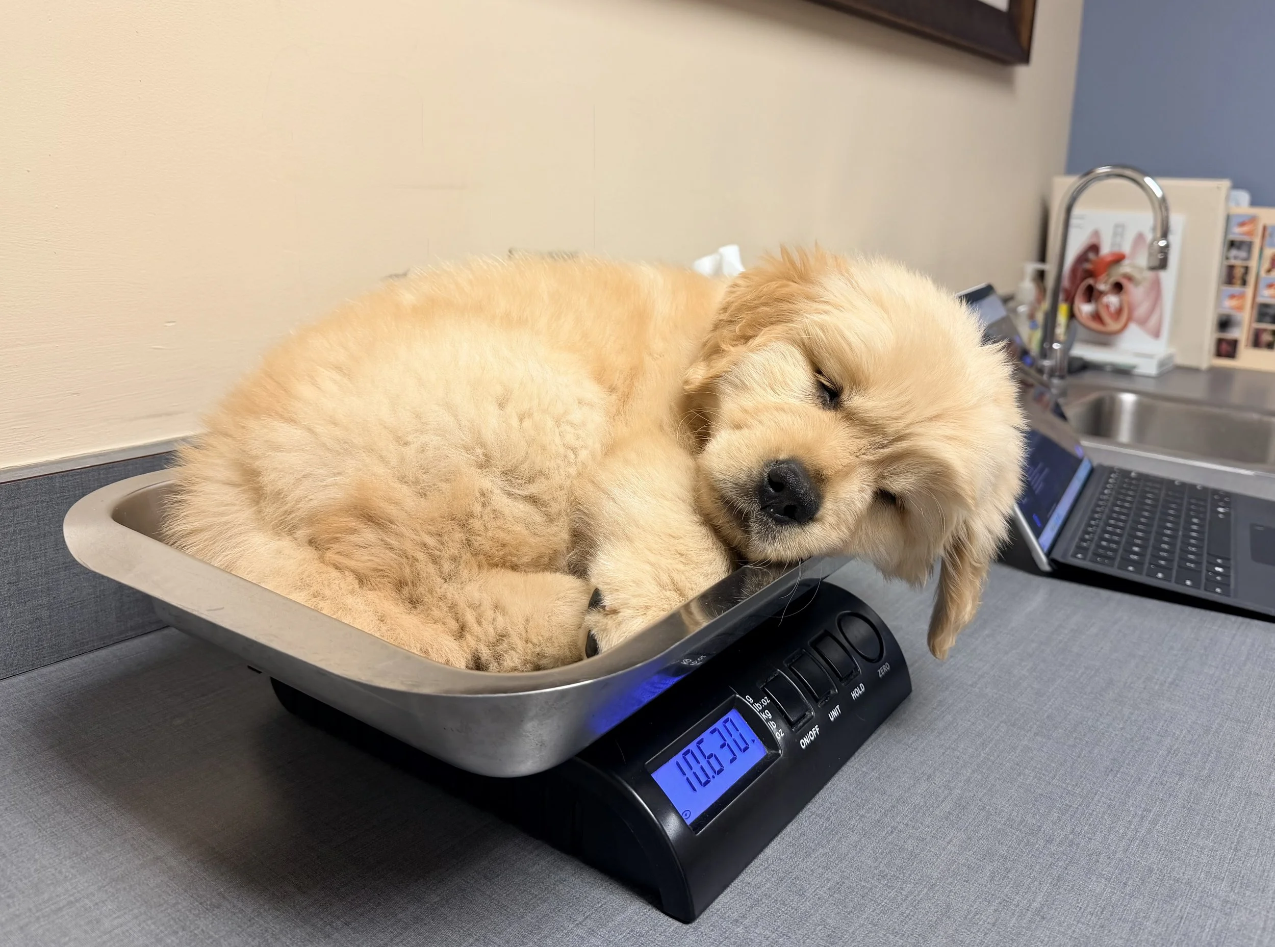 Urgent Care