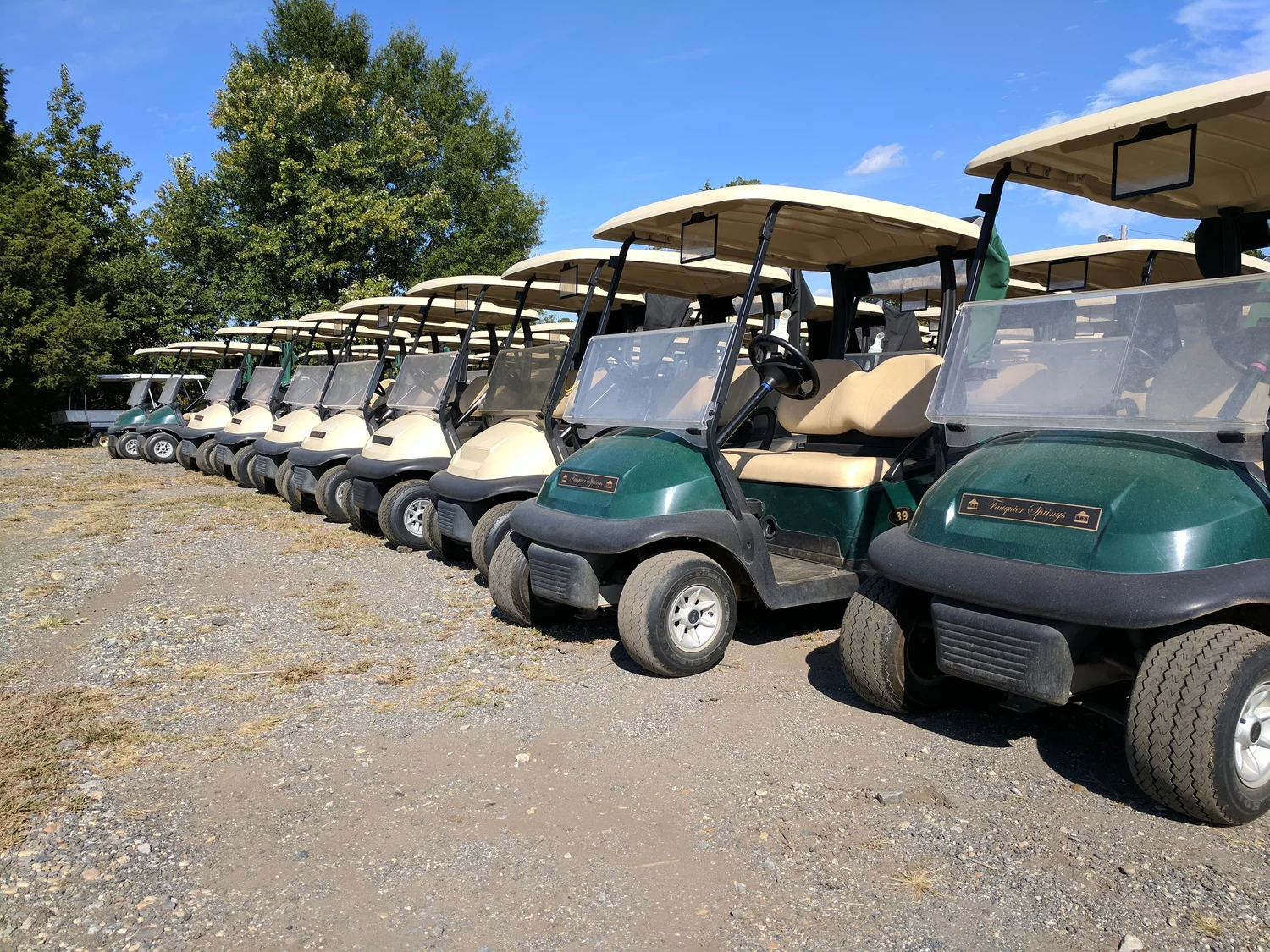 Golf Cart Rentals Near Me