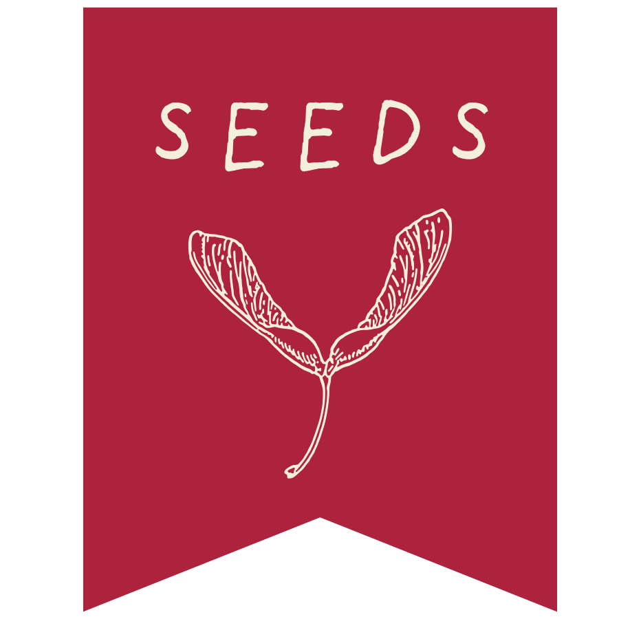 Launching SEEDS: Building Your Farm &amp; Sea to School Team