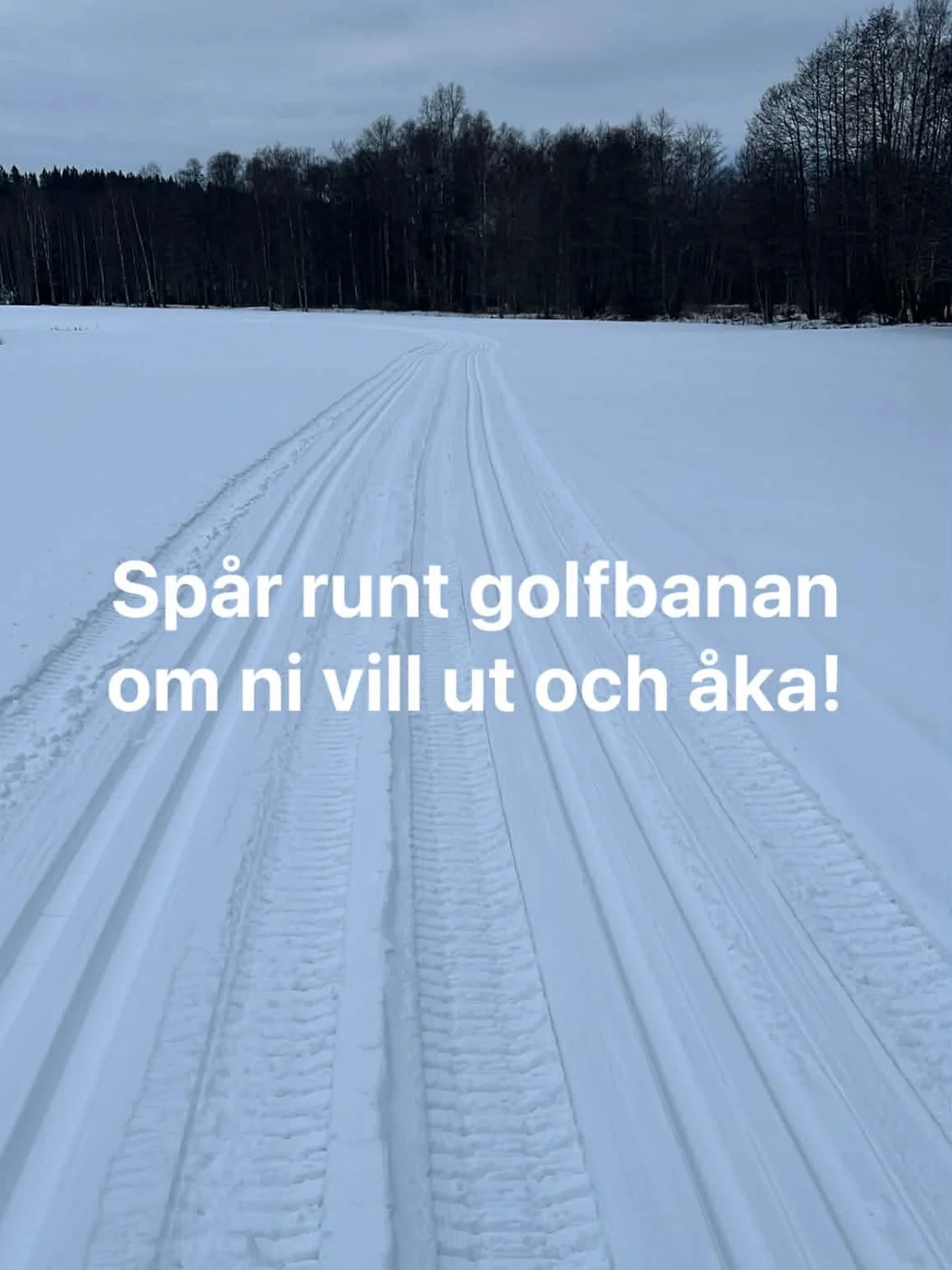 Om du ocks&aring; vill bli lika bra som Frida Karlsson och Ebba Andersson s&aring; kan ni b&ouml;rja tr&auml;na redan idag! 😄👌🏻

Sp&aring;rbidrag mottages tacksamt f&ouml;r driftskostnader. Swisha valfri summa till 123-050 99 43 ❄️
 
#&aring;rj&au