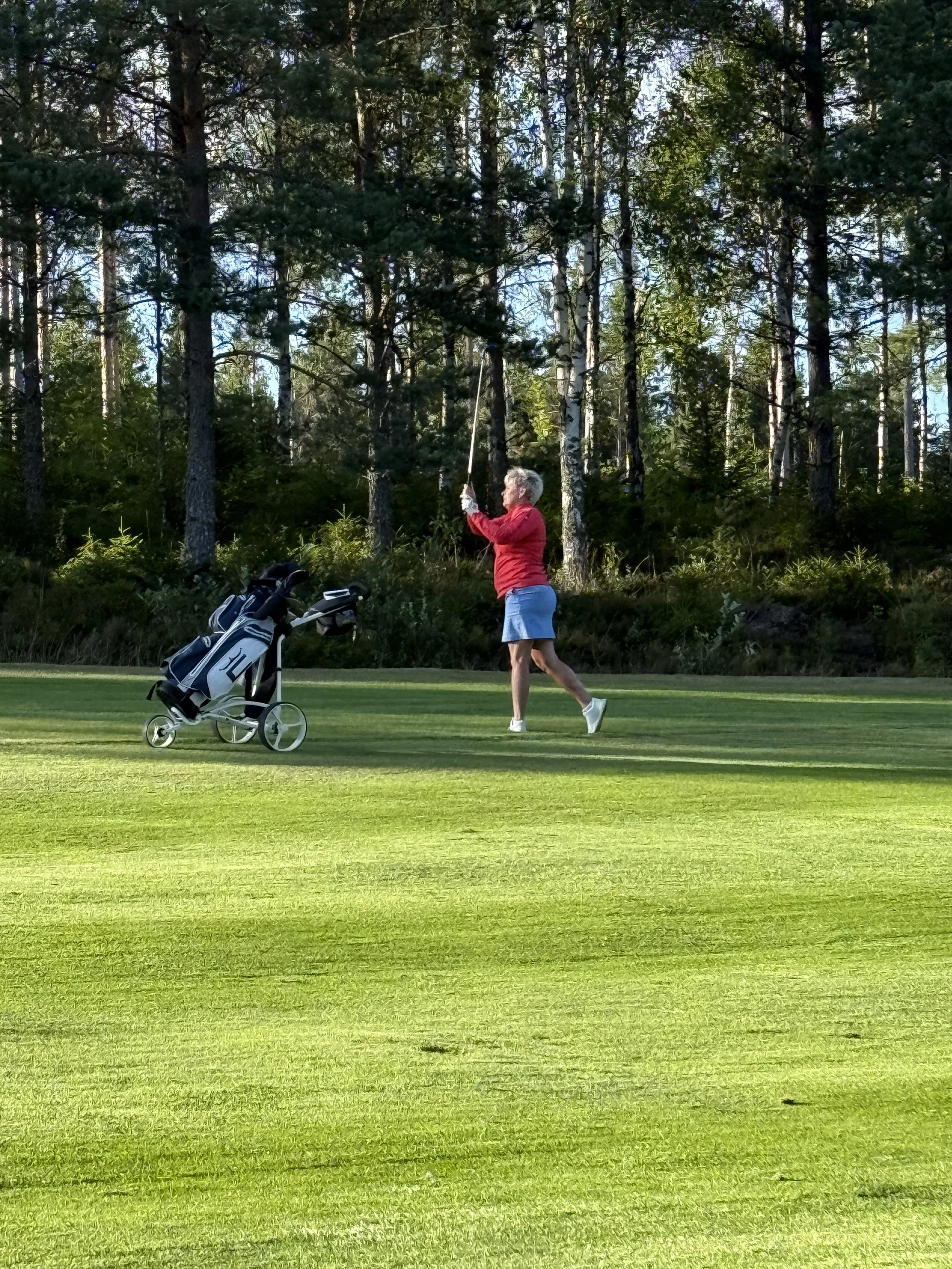 Poängbogey, Hål 10-18