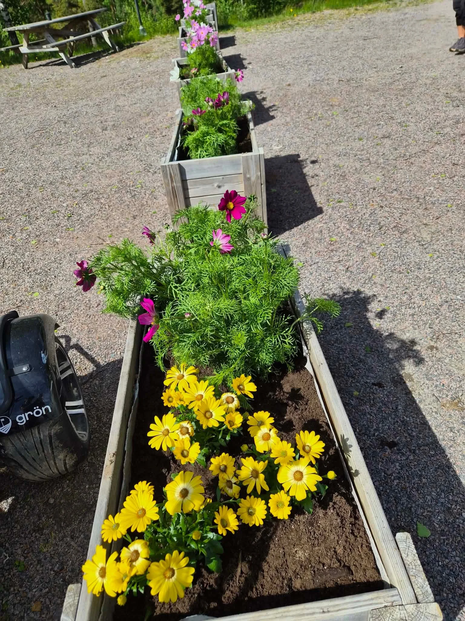 Imorgon m&aring;ndag s&aring; &auml;r det dags f&ouml;r &Aring;rj&auml;ngs GK att vara v&auml;rd f&ouml;r 68 damgolfare som ska spela D50-t&auml;vling p&aring; banan. 🏌️&zwj;♀️⛳️

Vi tackar Teresia som har fixat s&aring; fina blommor 🌺🌸💐

#&aring