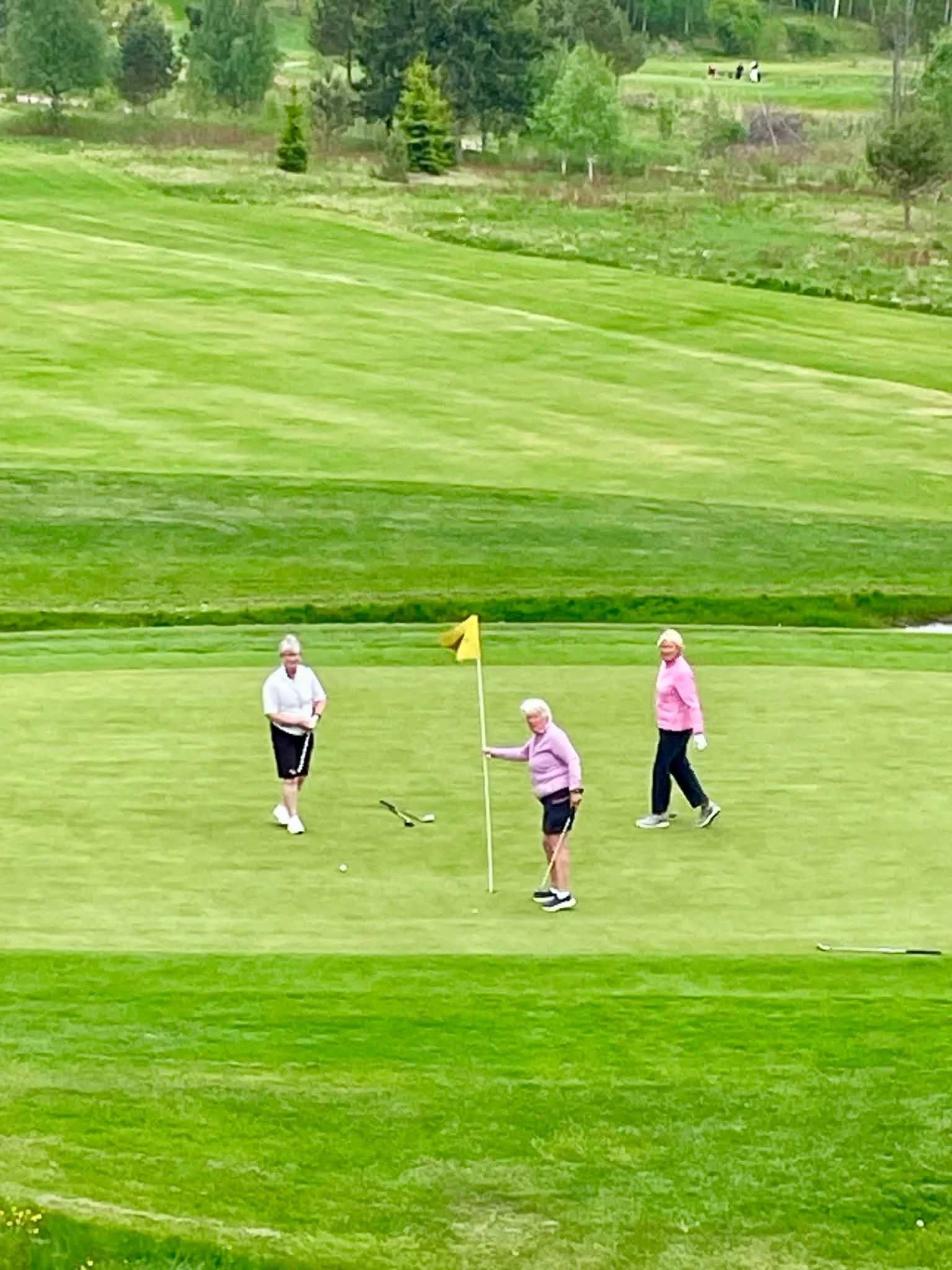Idag stod &Aring;rj&auml;ngs GK arrang&ouml;r f&ouml;r D50 Seniorgolfen d&auml;r 62 stycken damer st&auml;llde upp och t&auml;vlade i A och B-klass och presterade fina resultat!

🥇Vi gratulerar Ingmari Thyr, Sax&aring; GK som vann A-klassen p&aring;