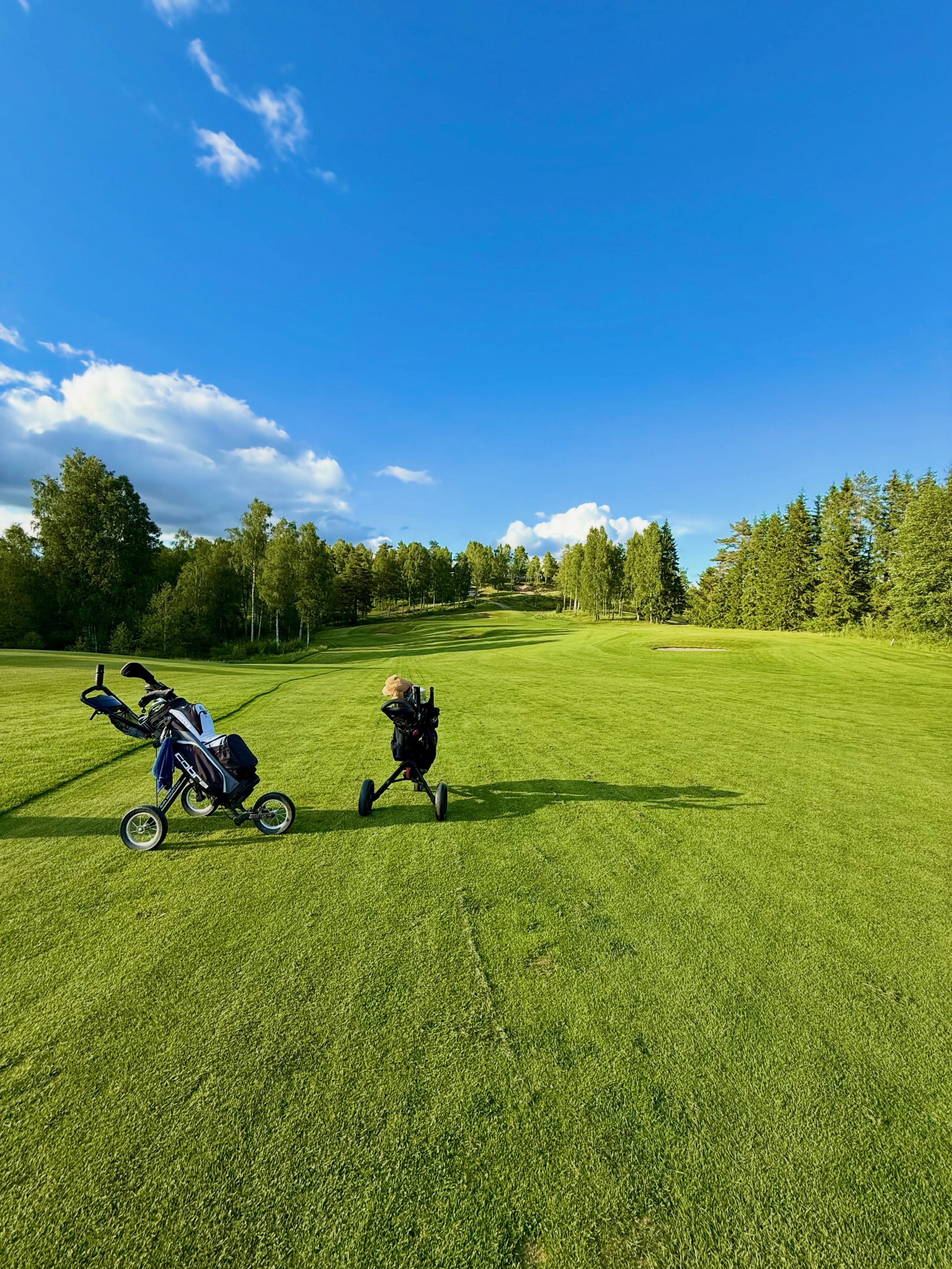 Banan b&ouml;rjar kl&auml; sig i sommarskrud. 
Fantastiskt fint 🌸☀️⛳️