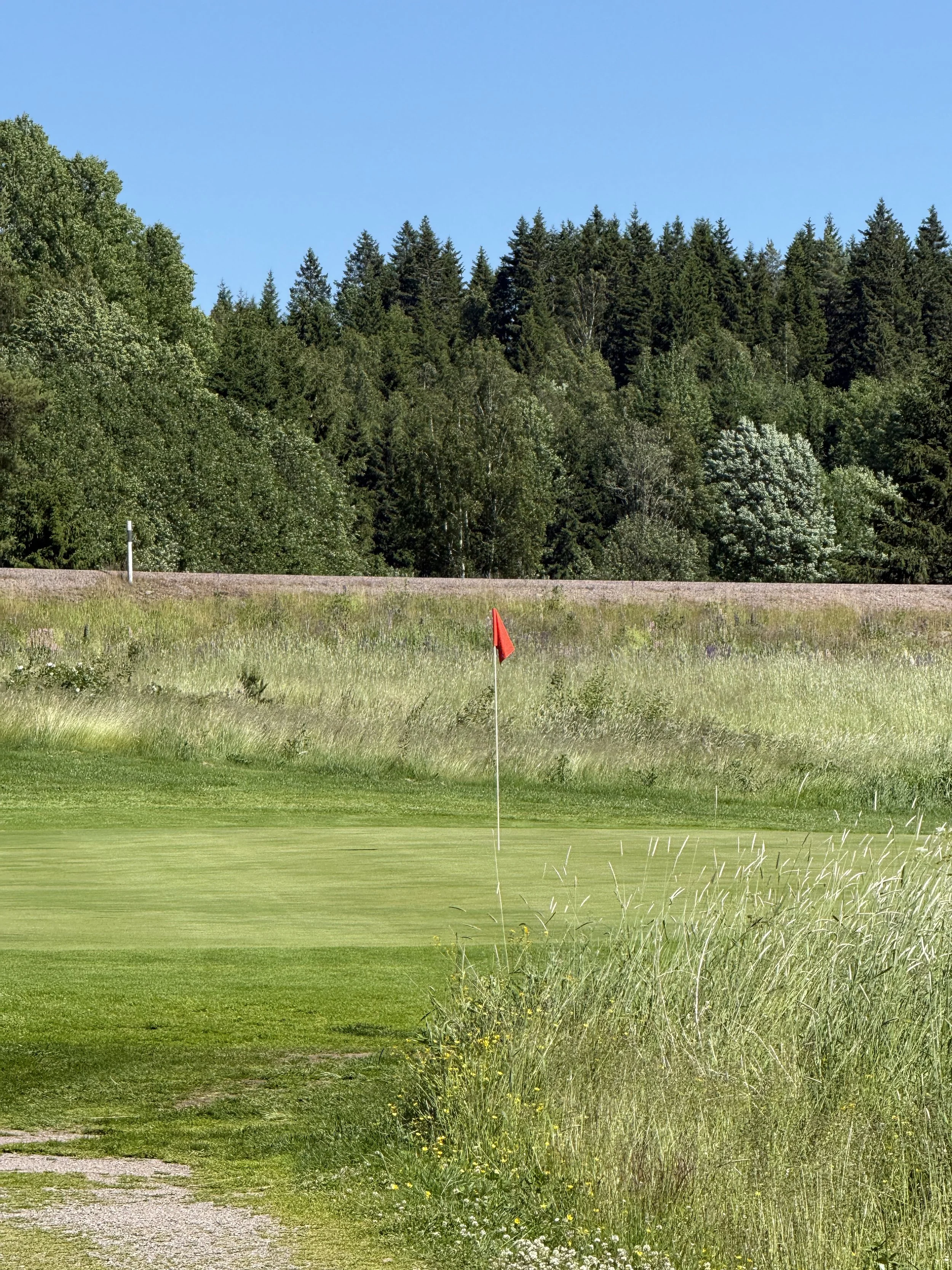 Green hål 6,  21/6