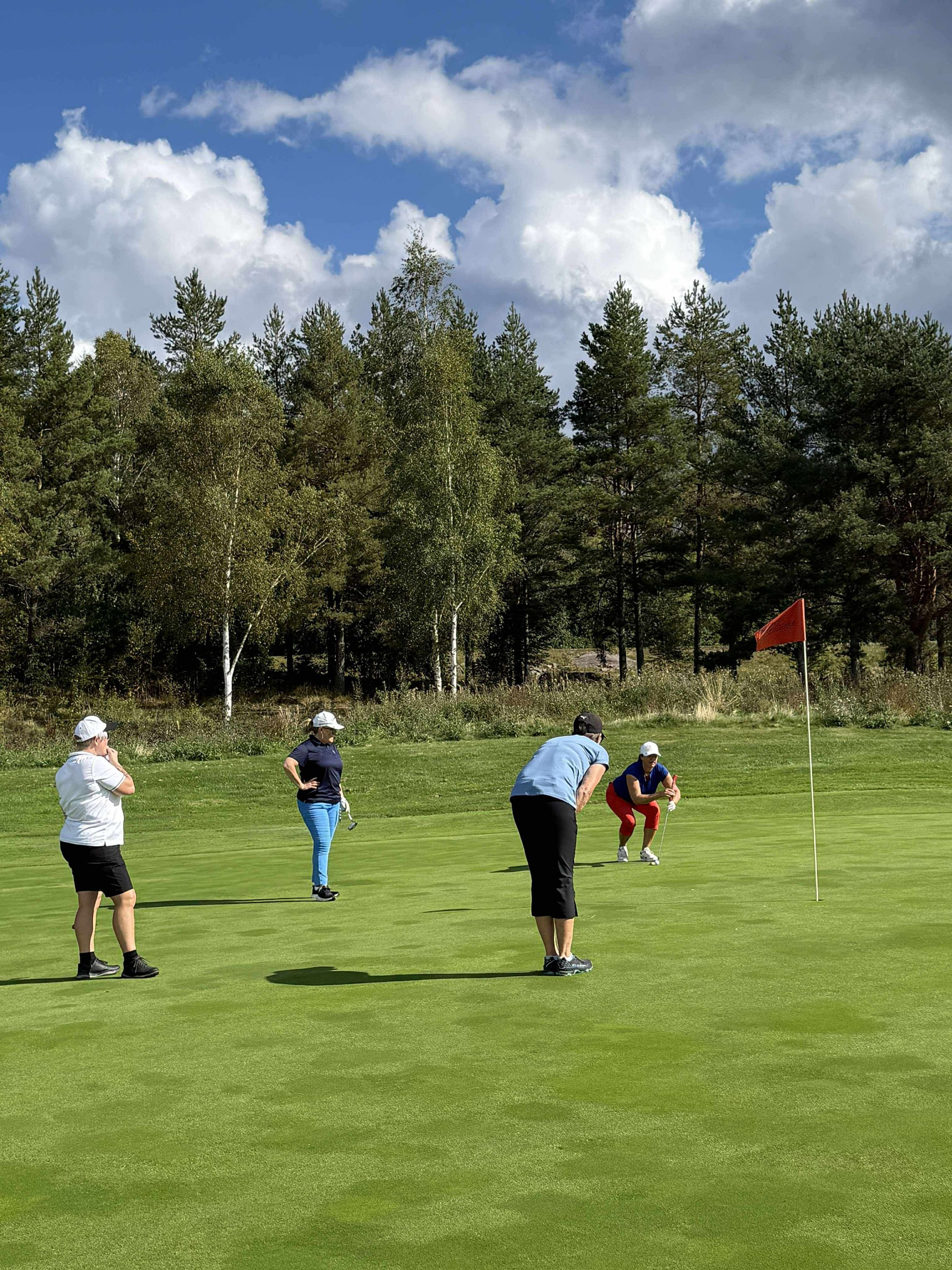Fyra personer som spelar golf på en gröndef, med trädkant och blå himmel med vita moln i bakgrunden.