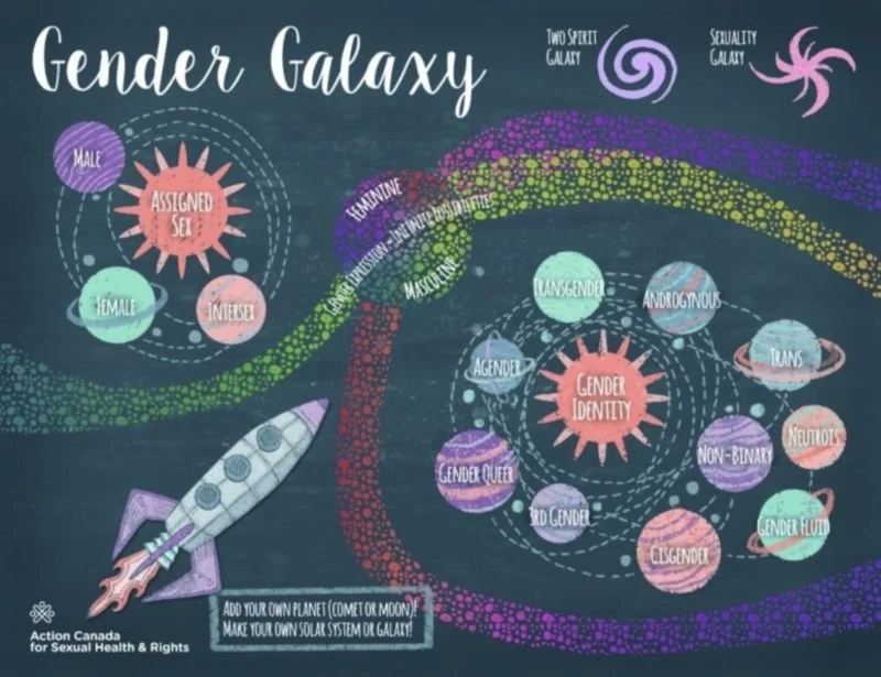 Beyond the Binary: The Gender Galaxy