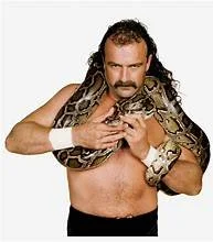 Jake the Snake Meet and Greet