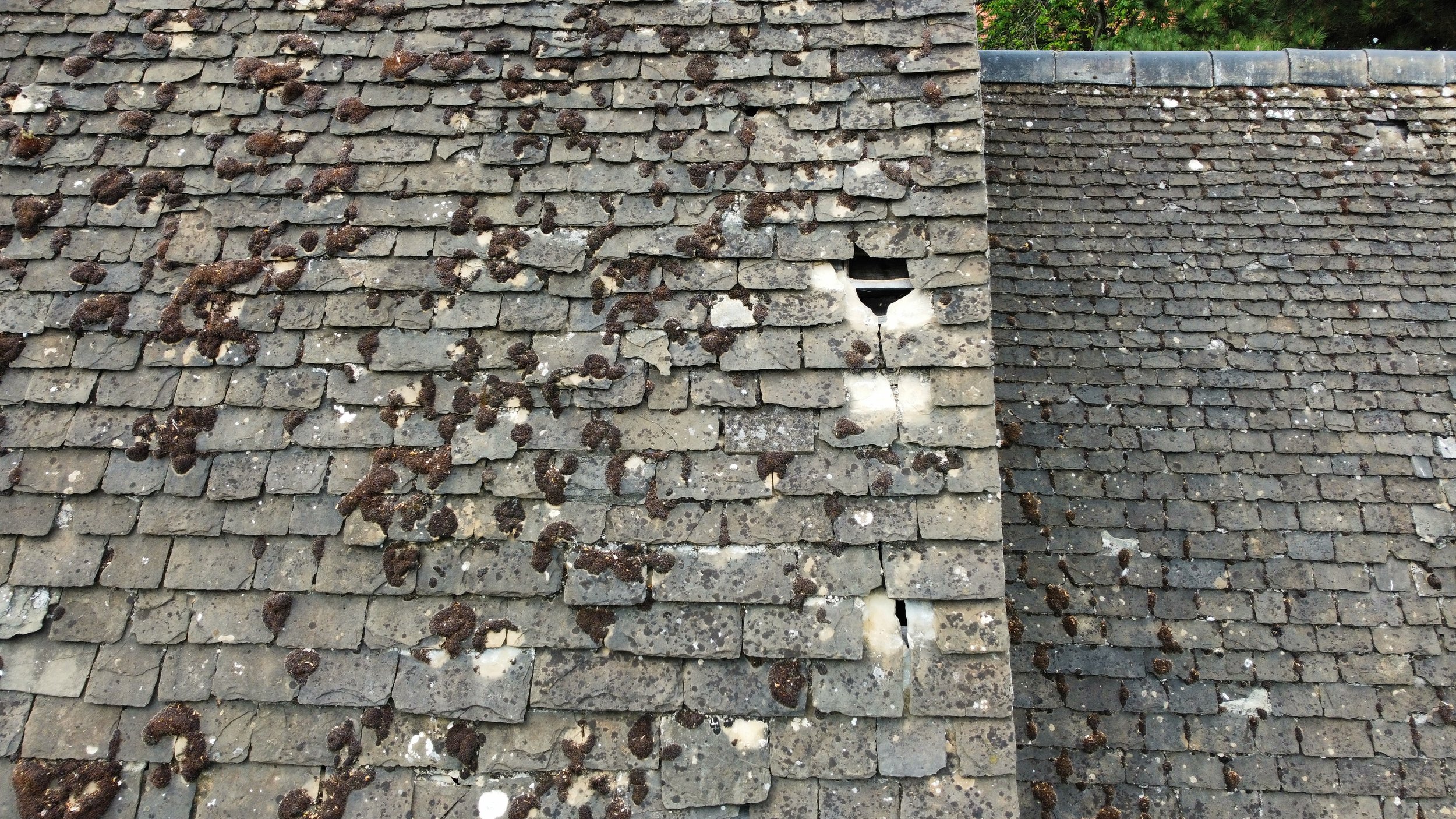 Roof Damage at St Thomas the Martyr (Henry Sanders)
