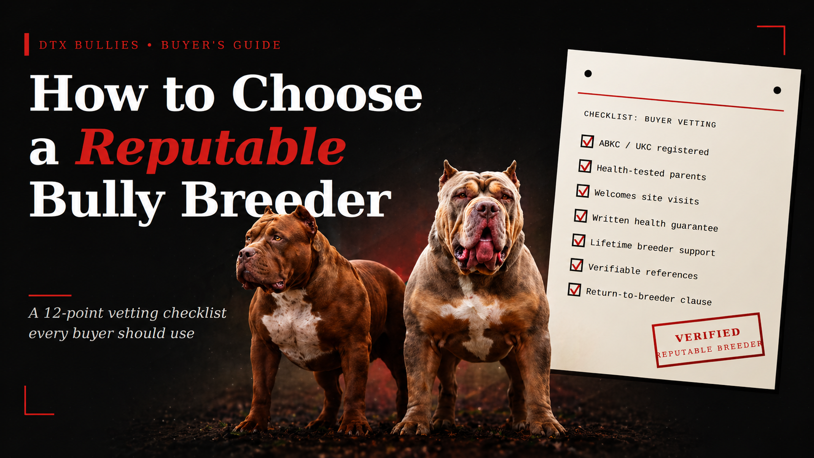 How to Choose a Reputable Bully Breeder: A Buyer's Checklist