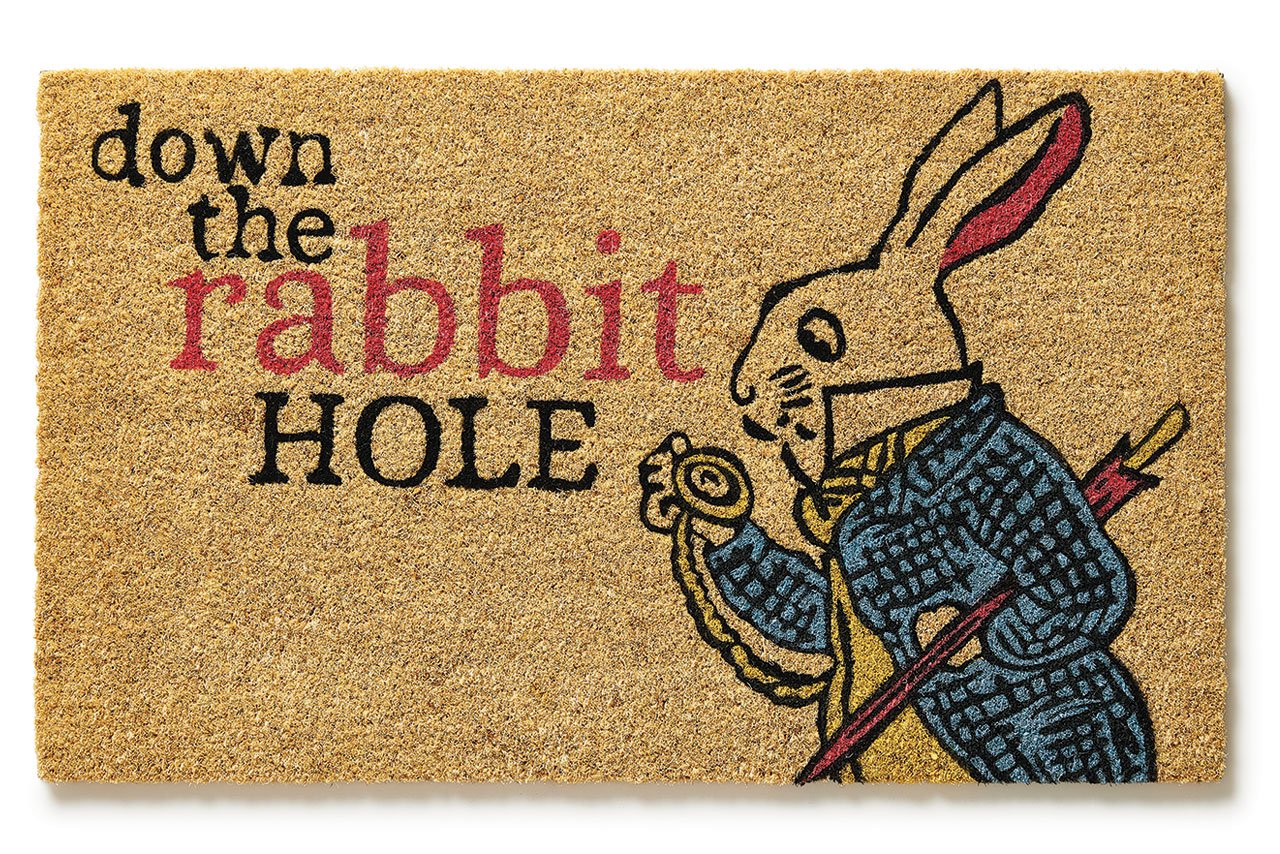 V310-down-the-rabbit-hole.jpg
