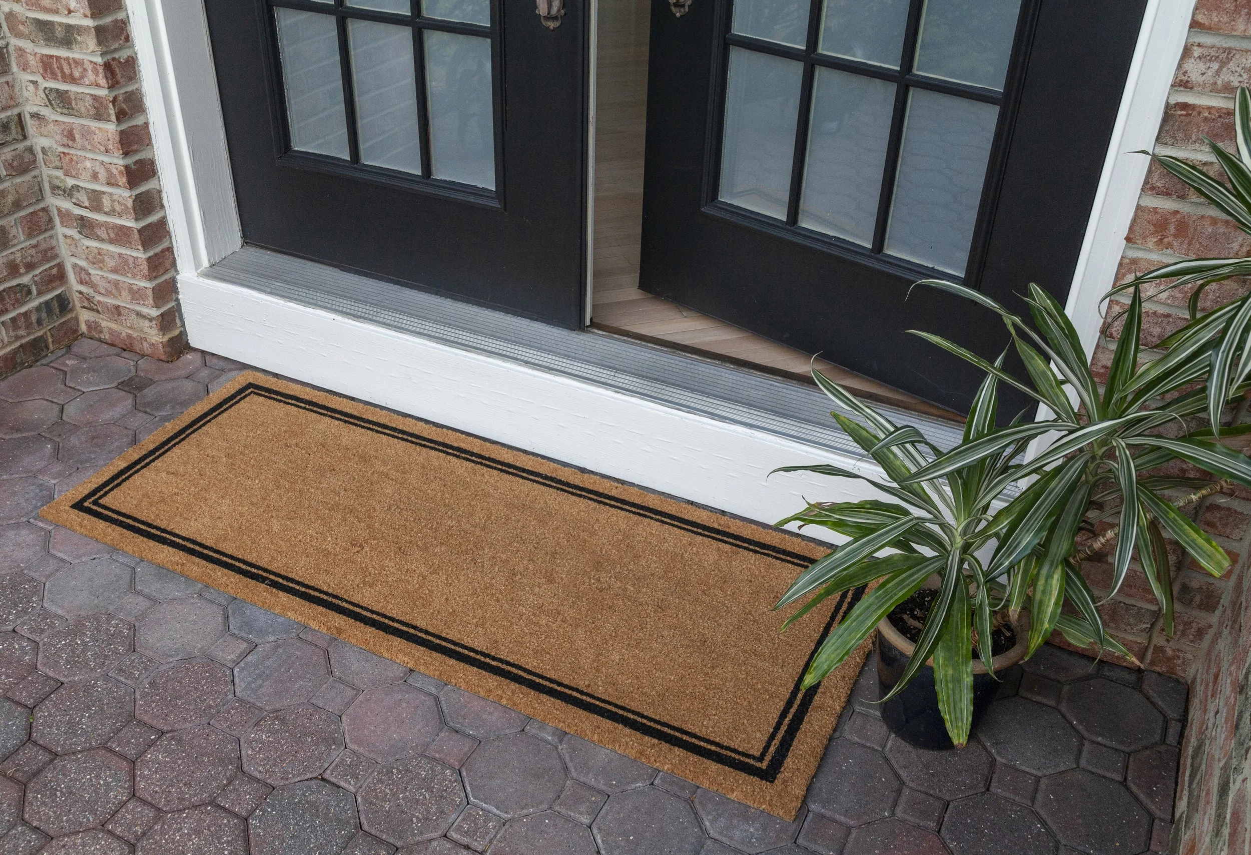 502EB24x60 With Border 24x60 ENV.jpg