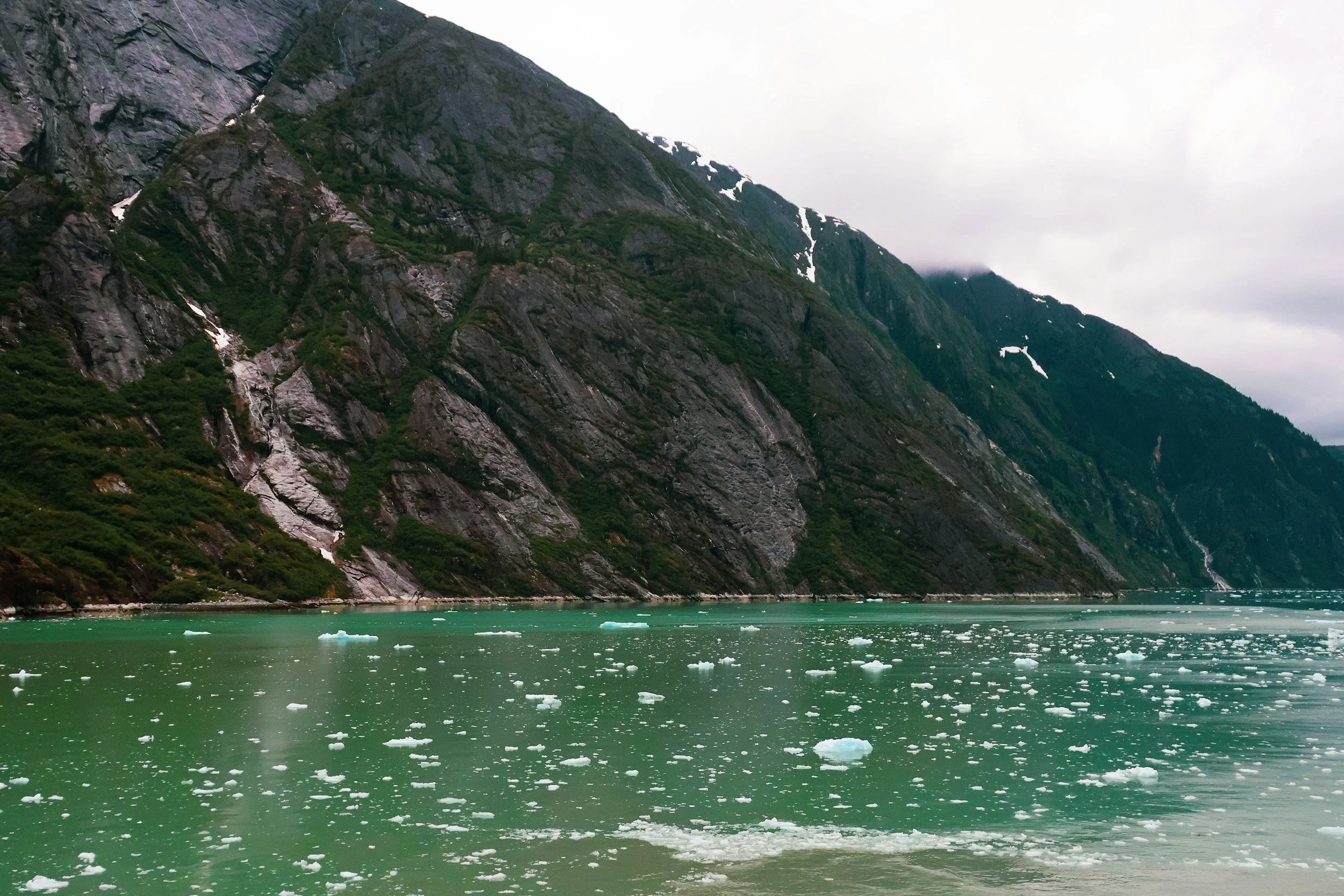 Scenic Cruising in the Endicott Arm Fjord