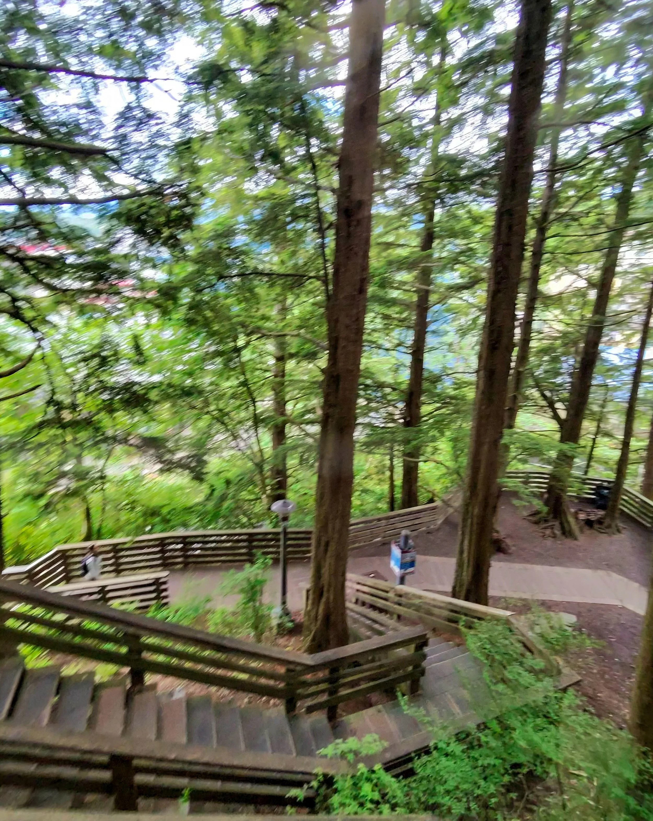 Ketchikan Trail.JPG