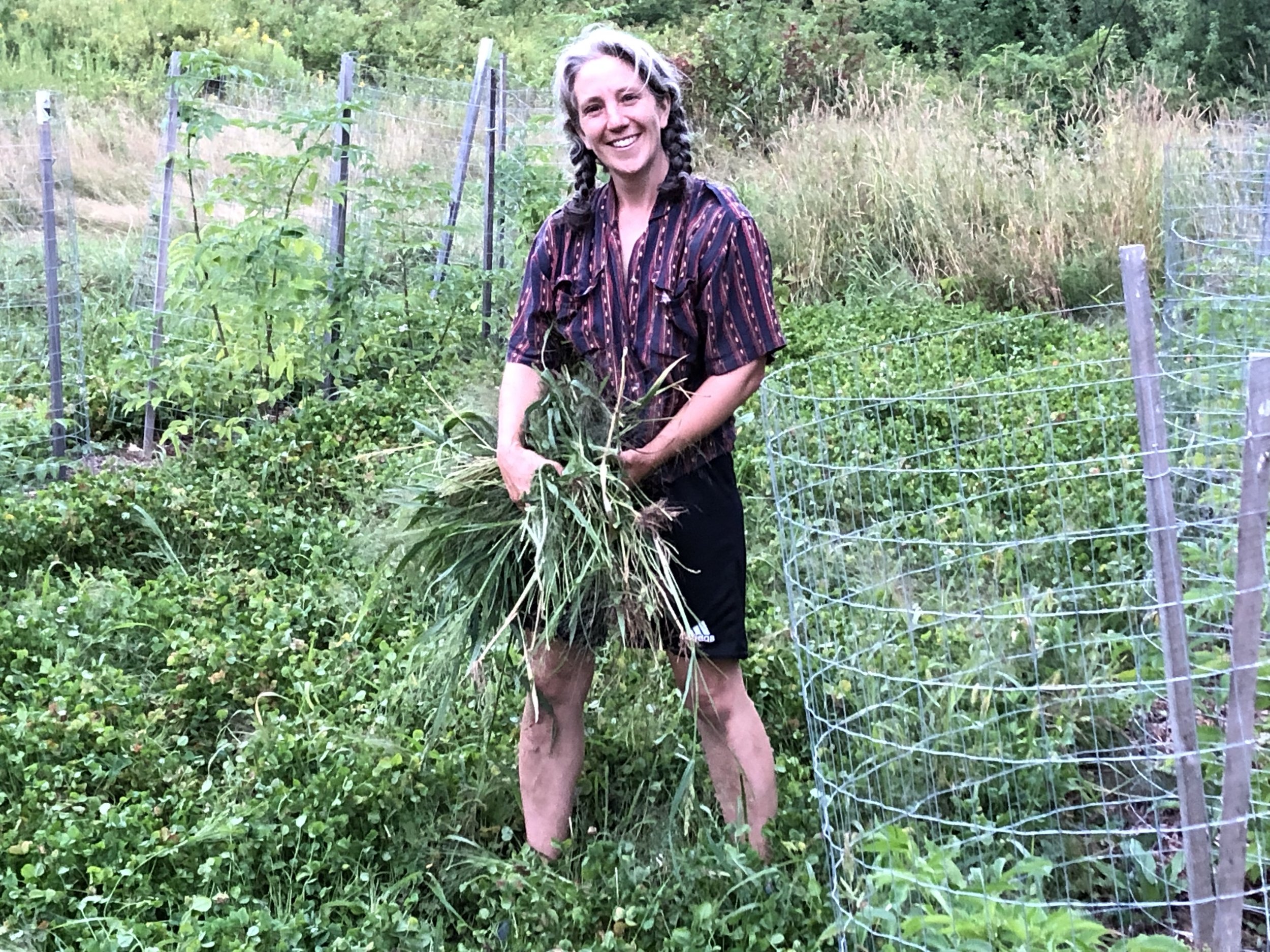 Erin weeding clover paths .jpg