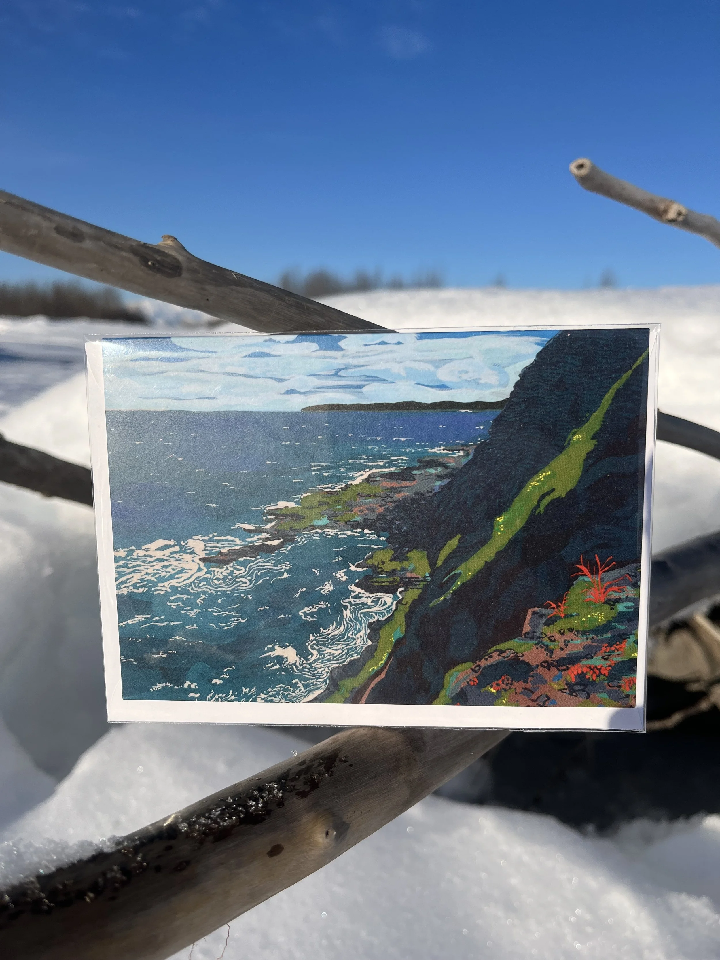 Gold Coast Greeting Card