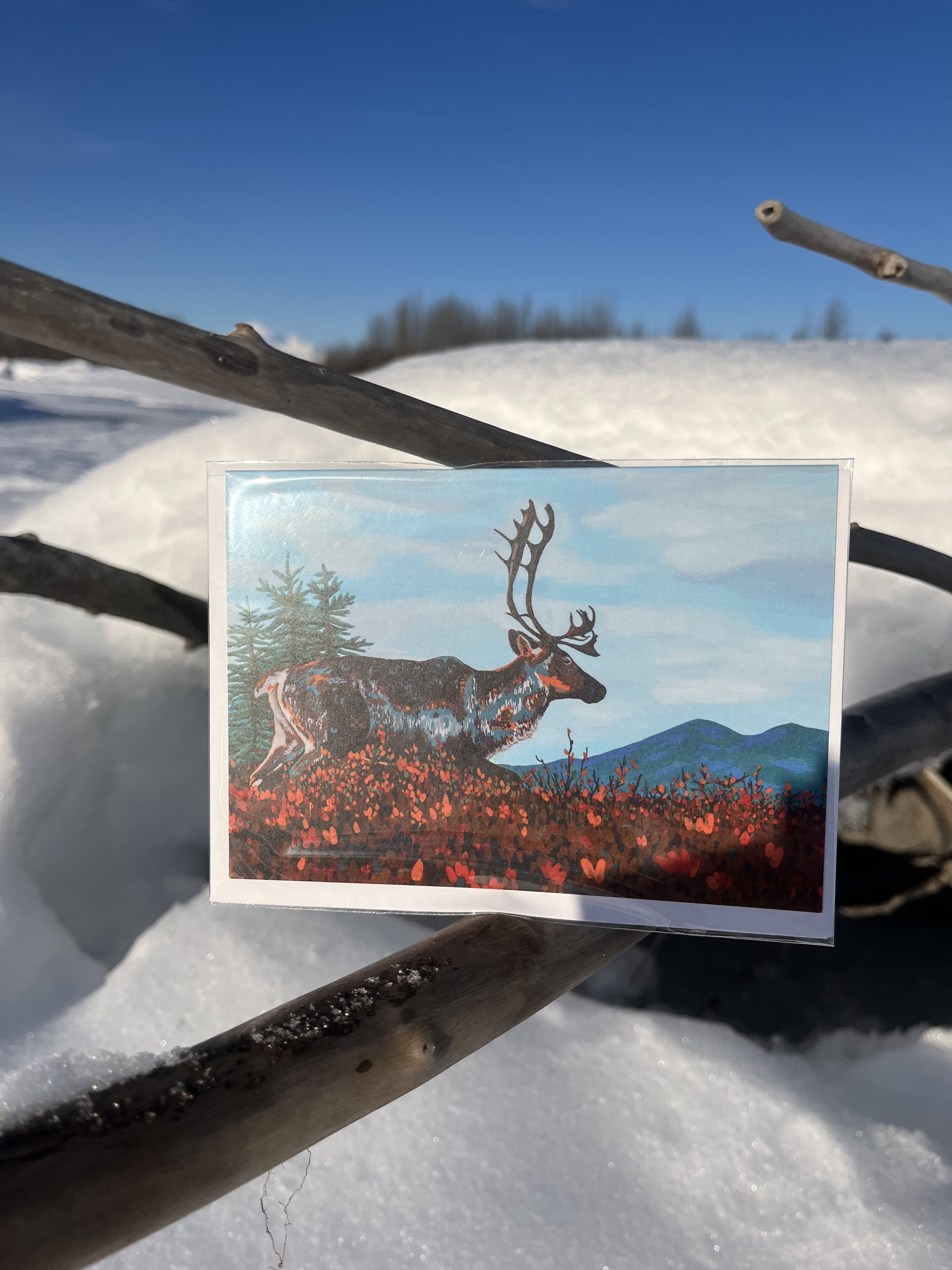 Tundra Caribou Greeting Card