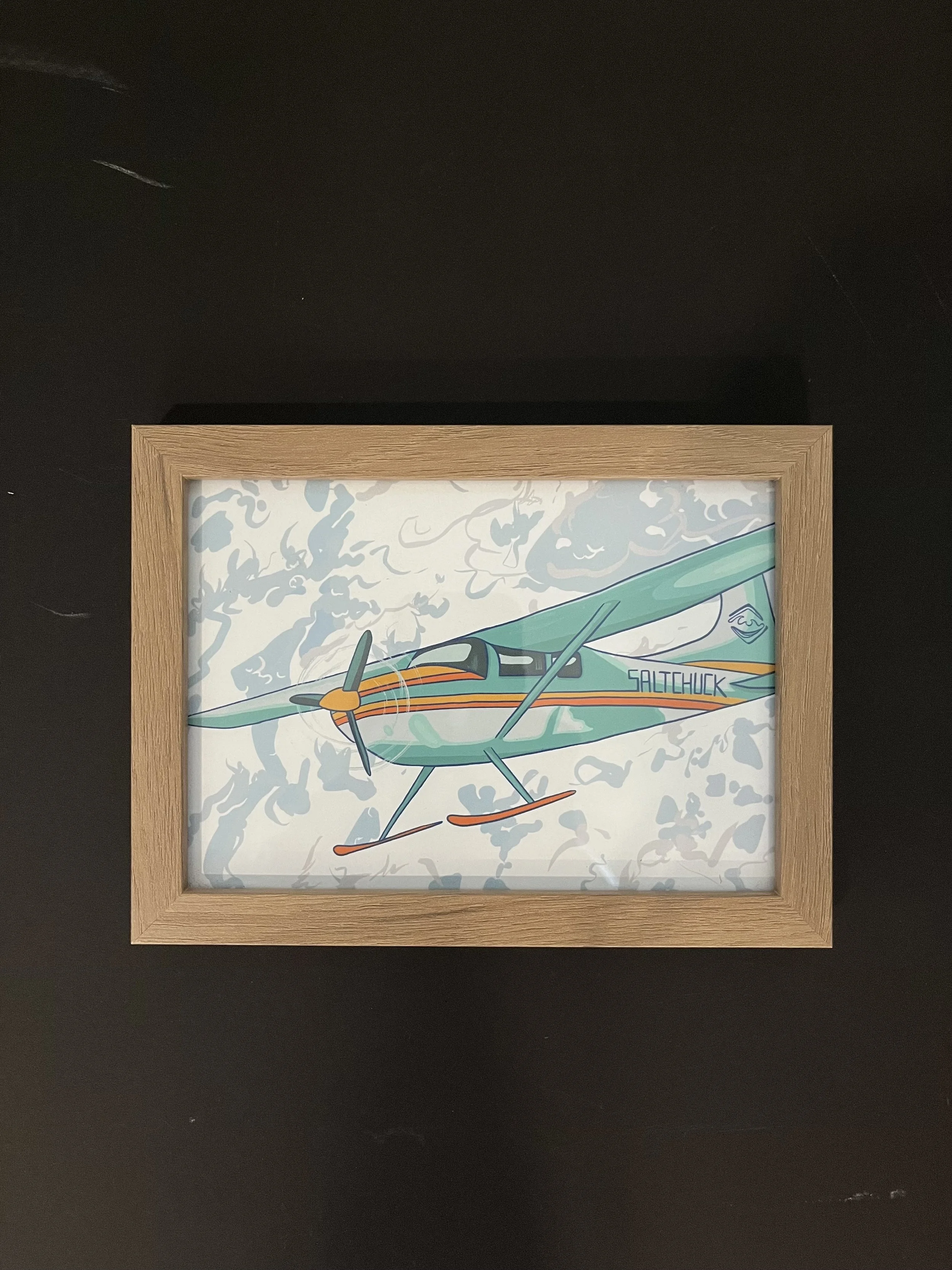 ski plane .jpg