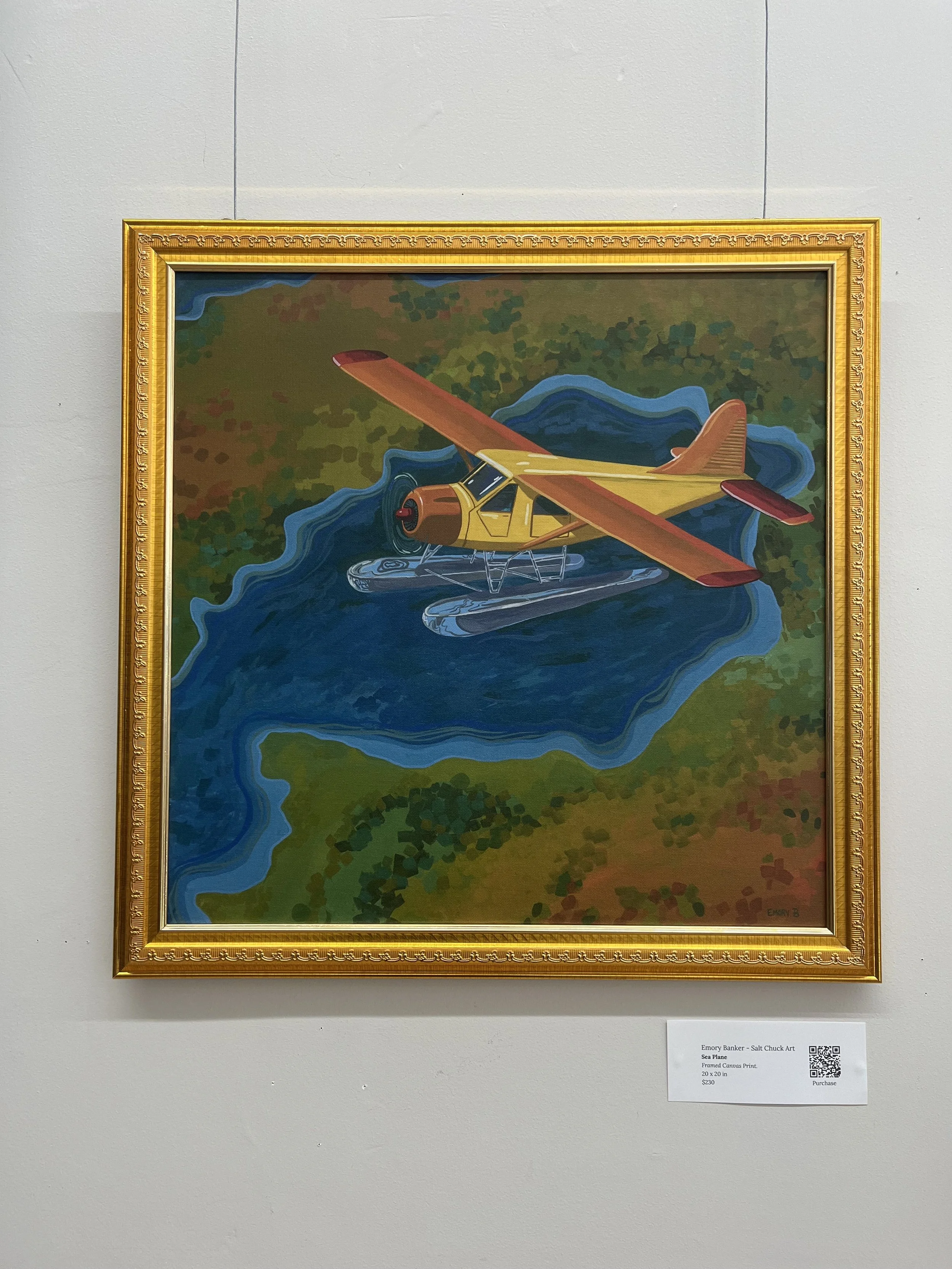framed sea plane.jpg