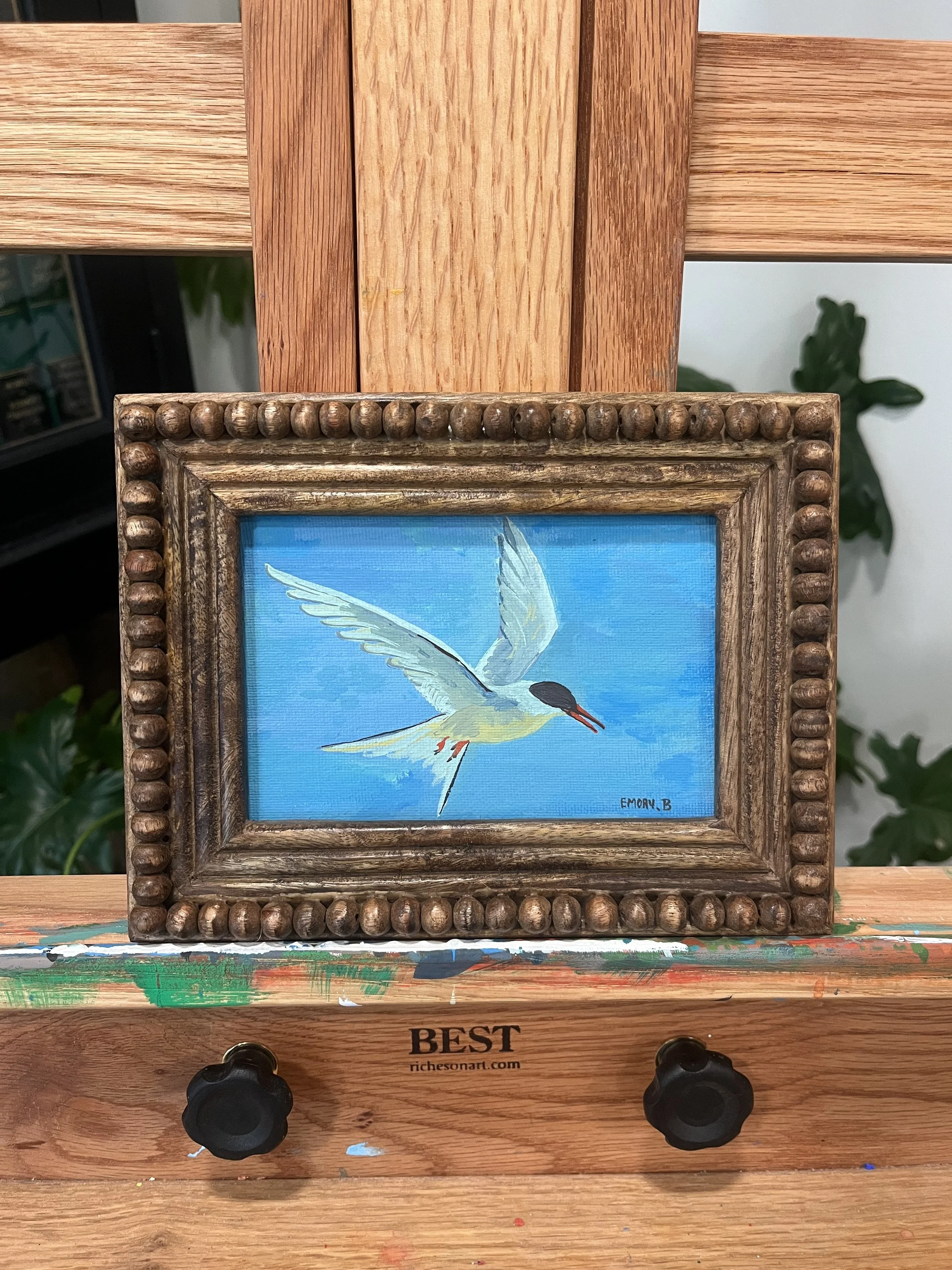 "Arctic Tern" Framed Original