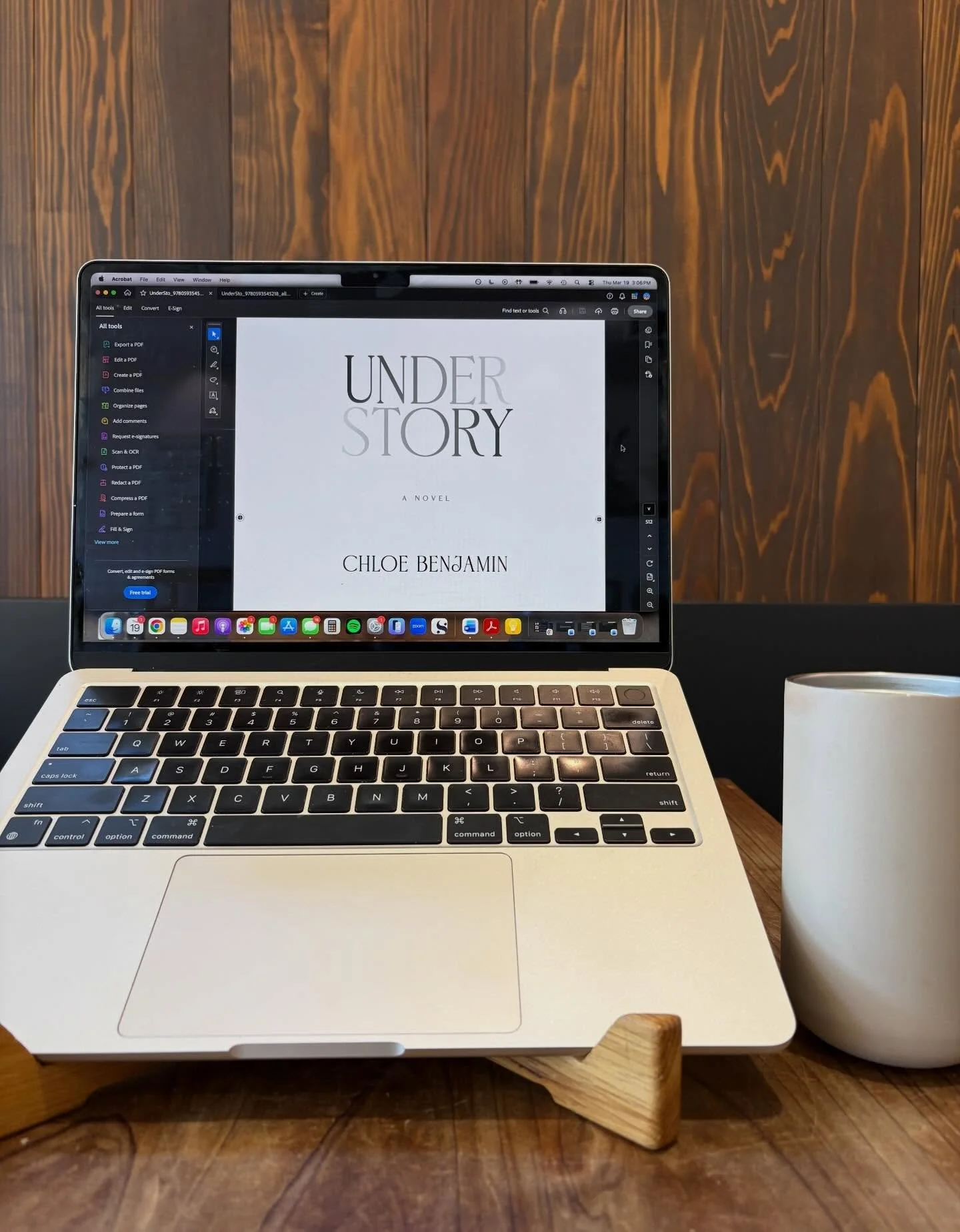 2nd pass: the last chance for an author to review their manuscript. When it comes to the publication process, this is the caboose, the end of the end of the line. By this point, the book has gone through major edits, minor edits, copy edits, proofrea