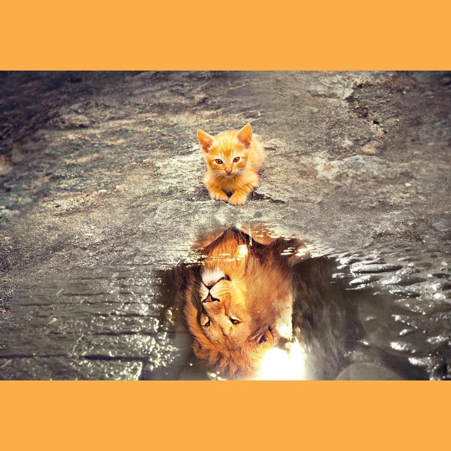 We&rsquo;re still under the energy of a New Leo Moon- approaching tomorrow the 8th day of the 8th month in an 8 year. #triple8 #lionsgate 🚪

All suggesting themes to look for surrounding our Leo keywords: creativity, leadership, fun, self-expression