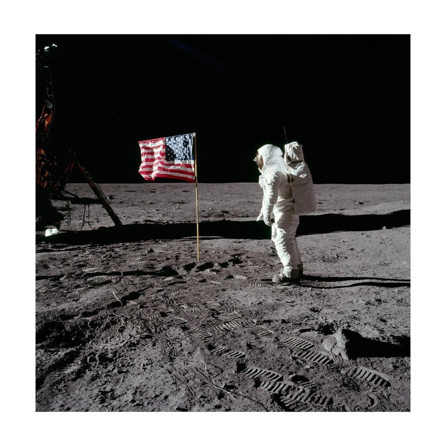 A full moon friday night. 

First full moon since the election. It&rsquo;s a full moon in the sign of Taurus. Taurus, ruling over the senses. Our sense of material security and many, many other things but to mention tonight, one&rsquo;s voice. 

Toni