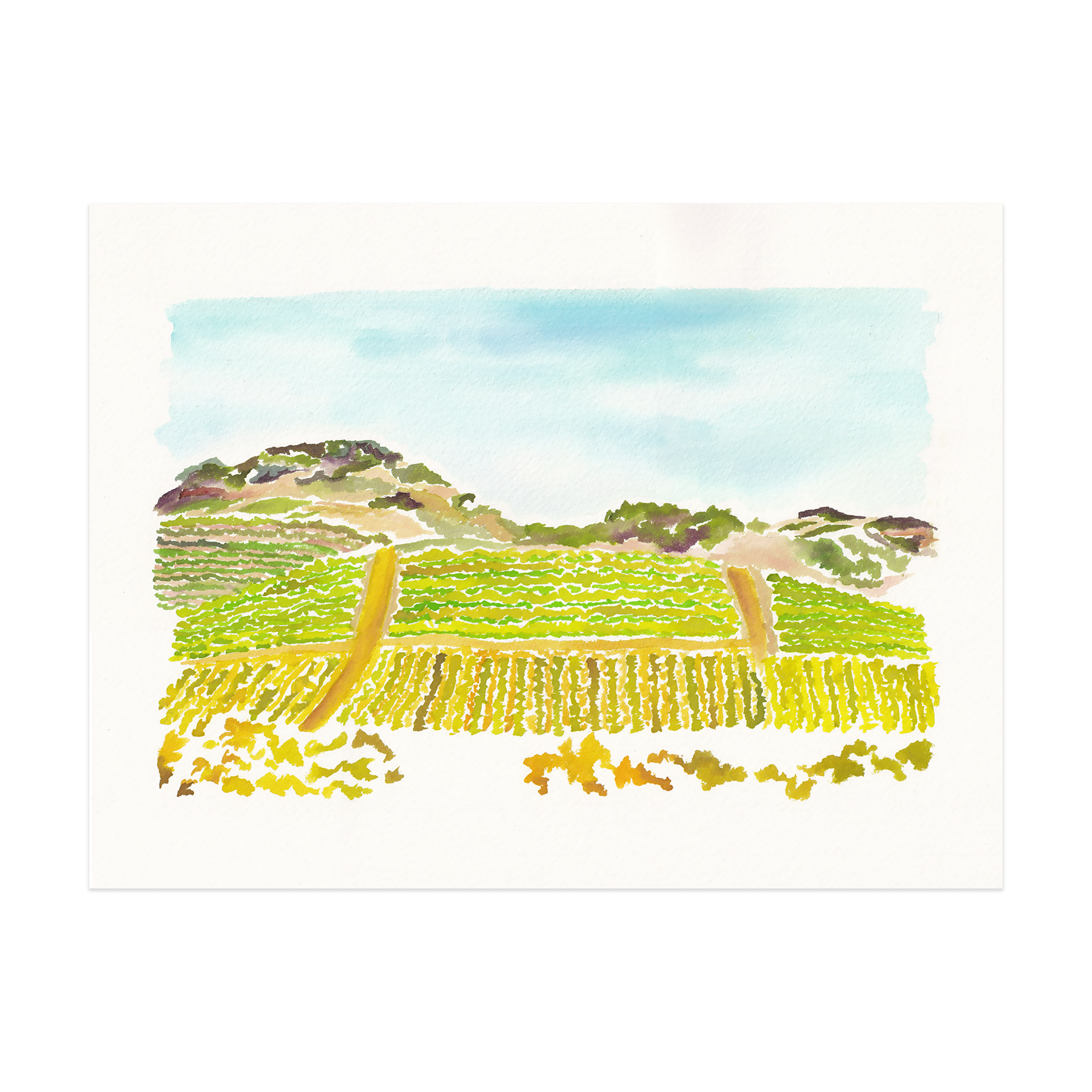 Sonoma Study.png