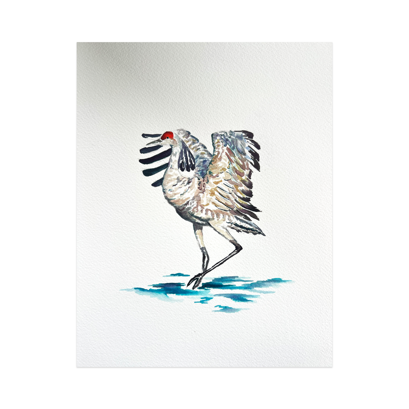 Original Watercolor Study - Sandhill Crane