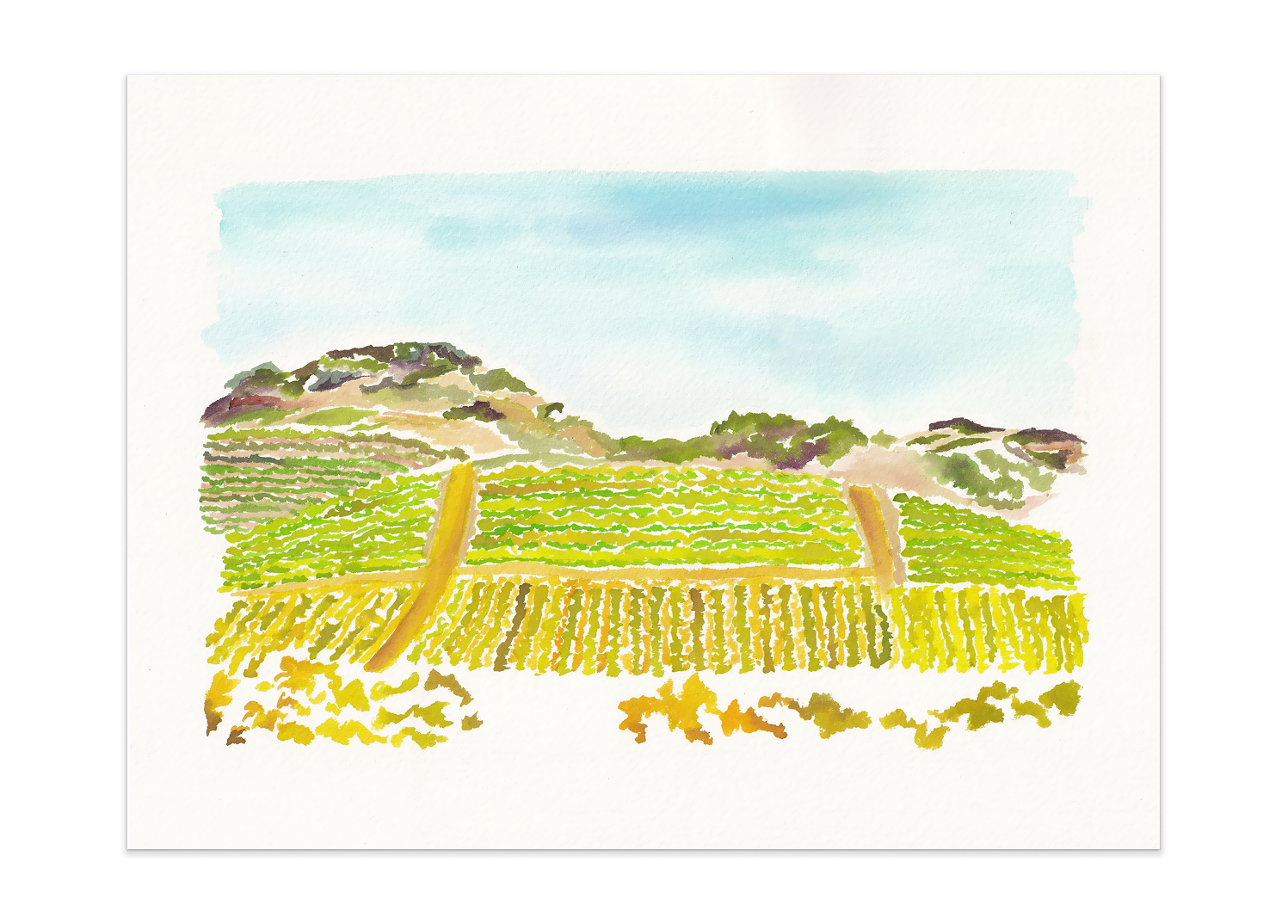 Sonoma, 2025. Watercolor on paper, 12x17", price upon request.