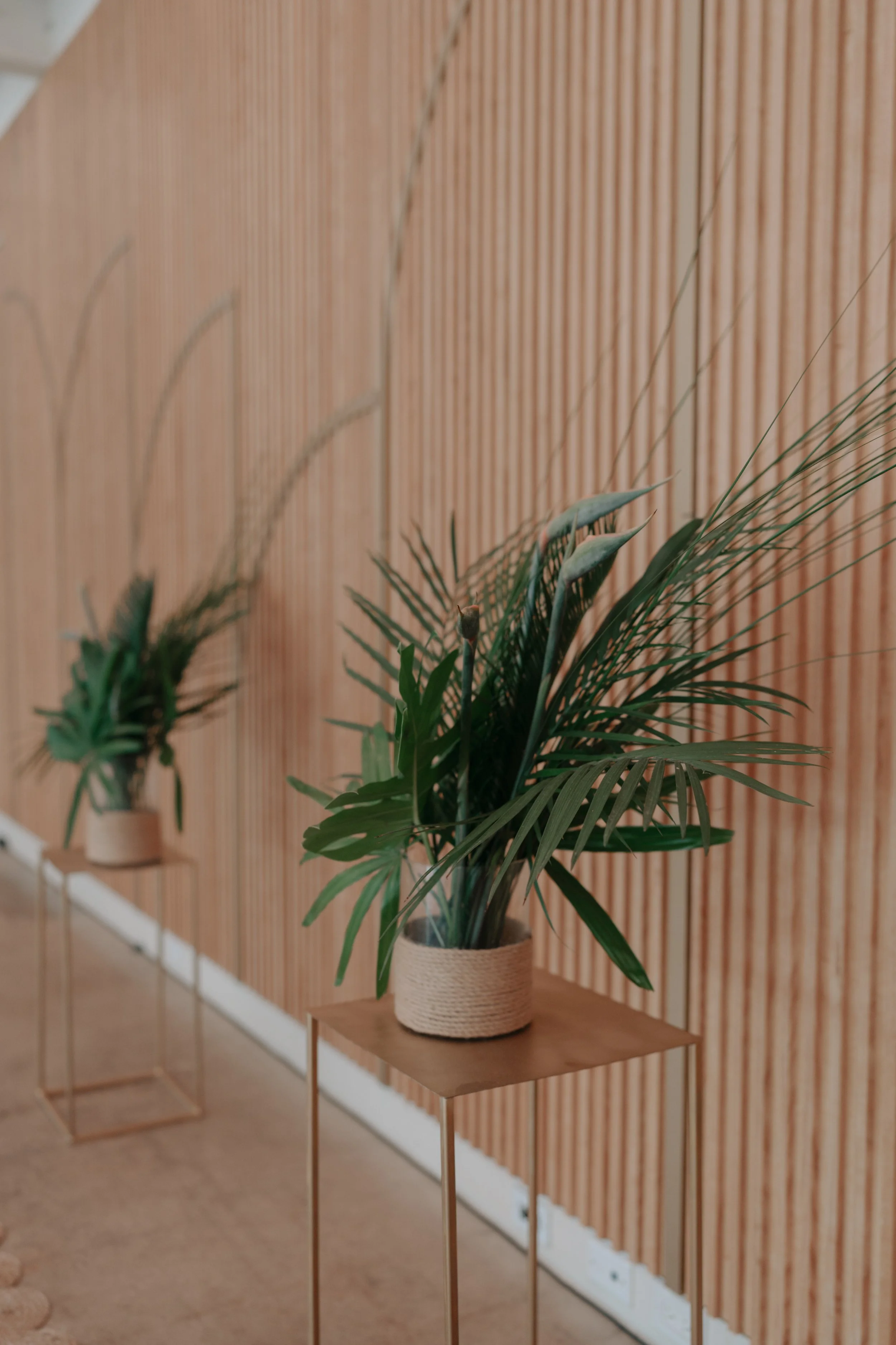 cedric & Shannon for website-1.jpg