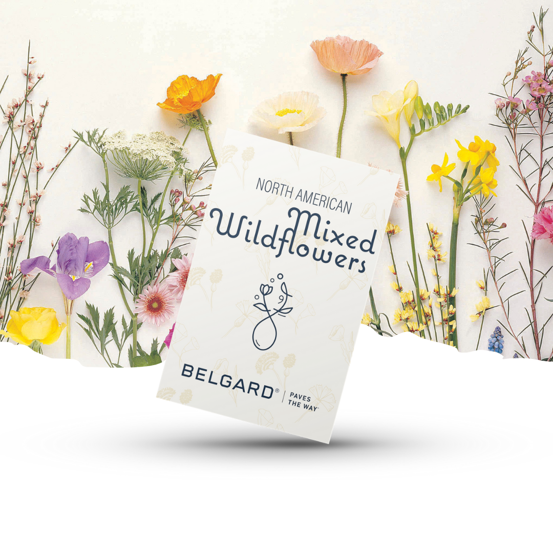 Untitled design (13).png