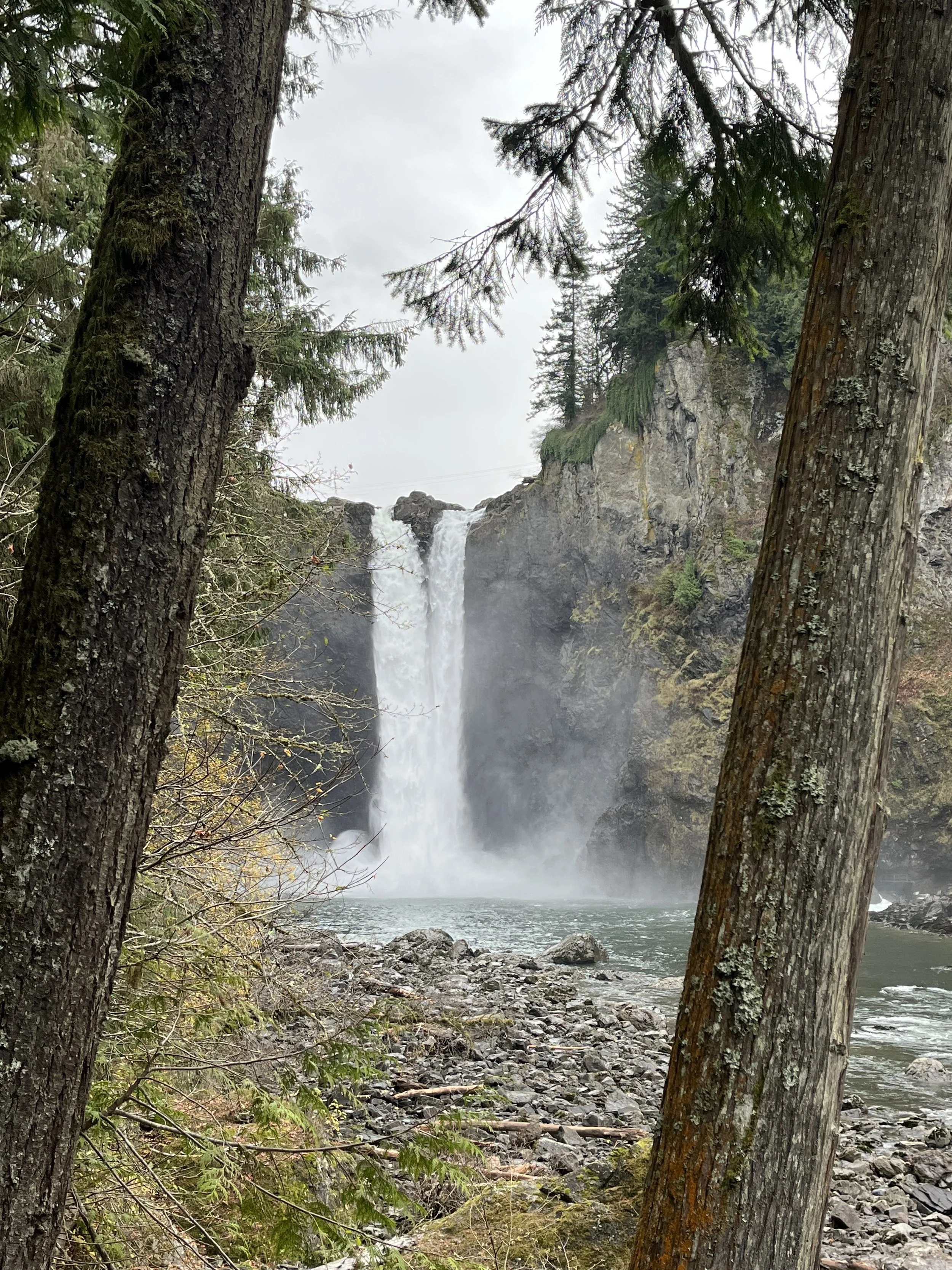 SnoqualmieFallsLowerFalls11-22-2025.jpeg