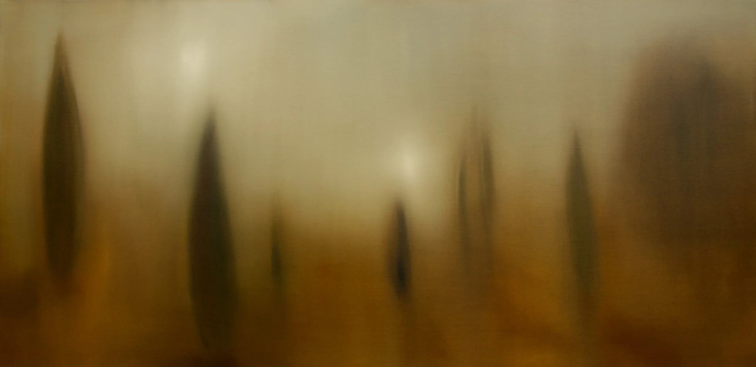 . . . .
Title: "Another 200 - 300 mm of rain is forecast over Christmas. Yikes.
Our ground is already saturated."
Oil on linen, 76 x 152 cm