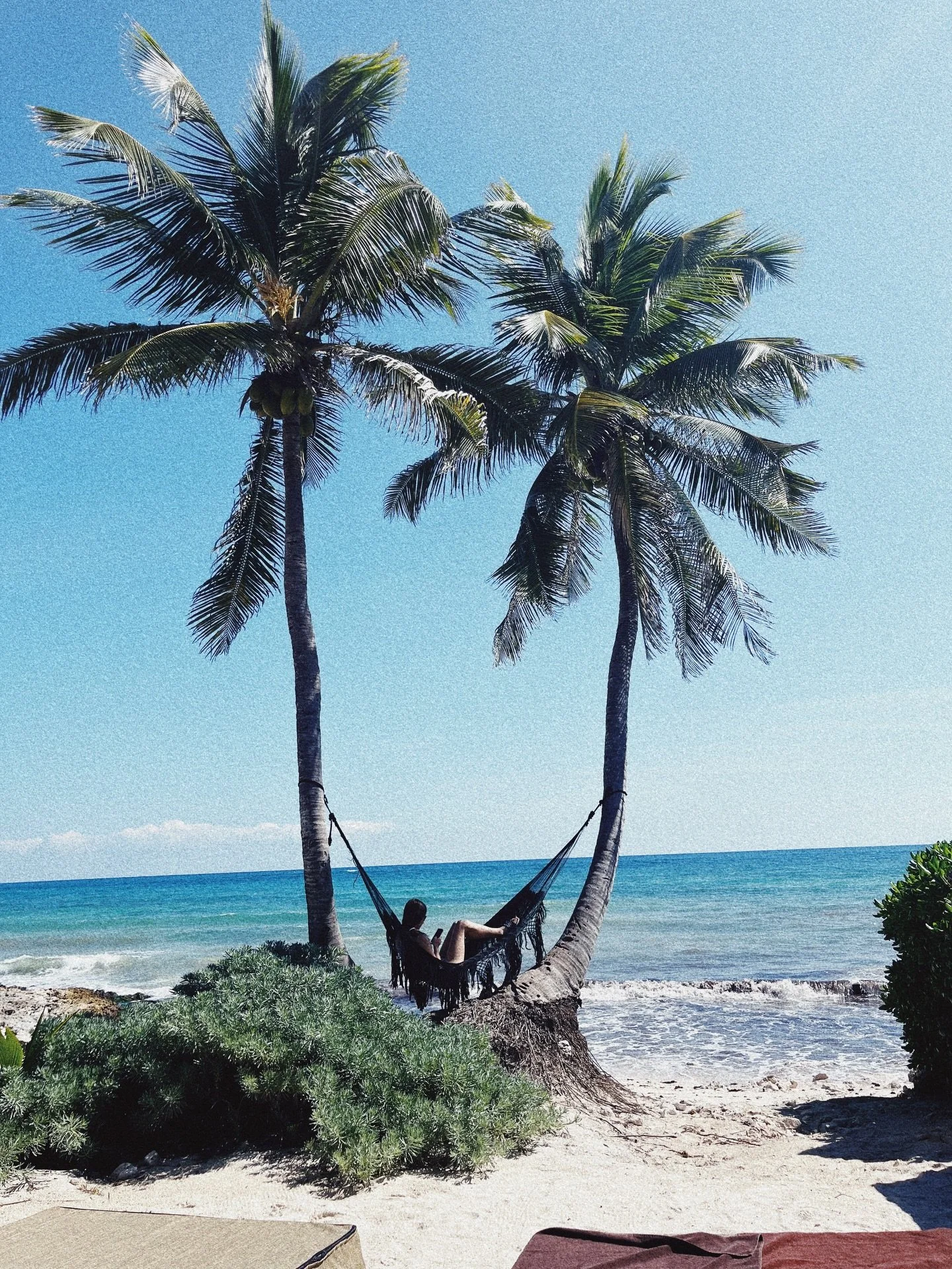 Cachitos de vivir 🌞🌴😼🐈🐱❤️
#weeklyfluff