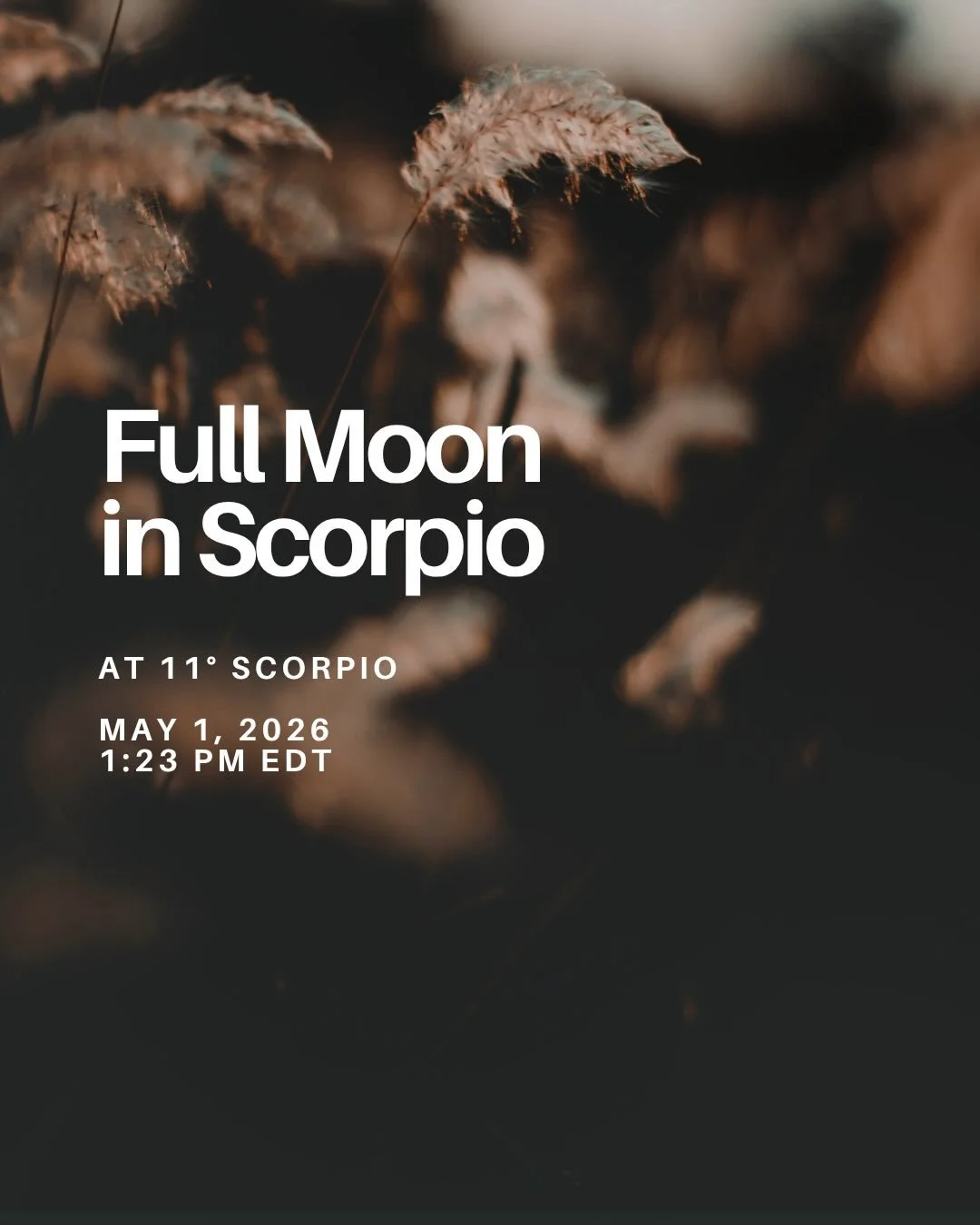 Some excerpts from my bi-weekly love letter. What planets or sensitive points do you have in Scorpio or the 8th house? Tell me in the comments and I share, what this full moon would be about&hellip; ⬇️

#scorpiofullmoon #embodiedastrology #evolutiona