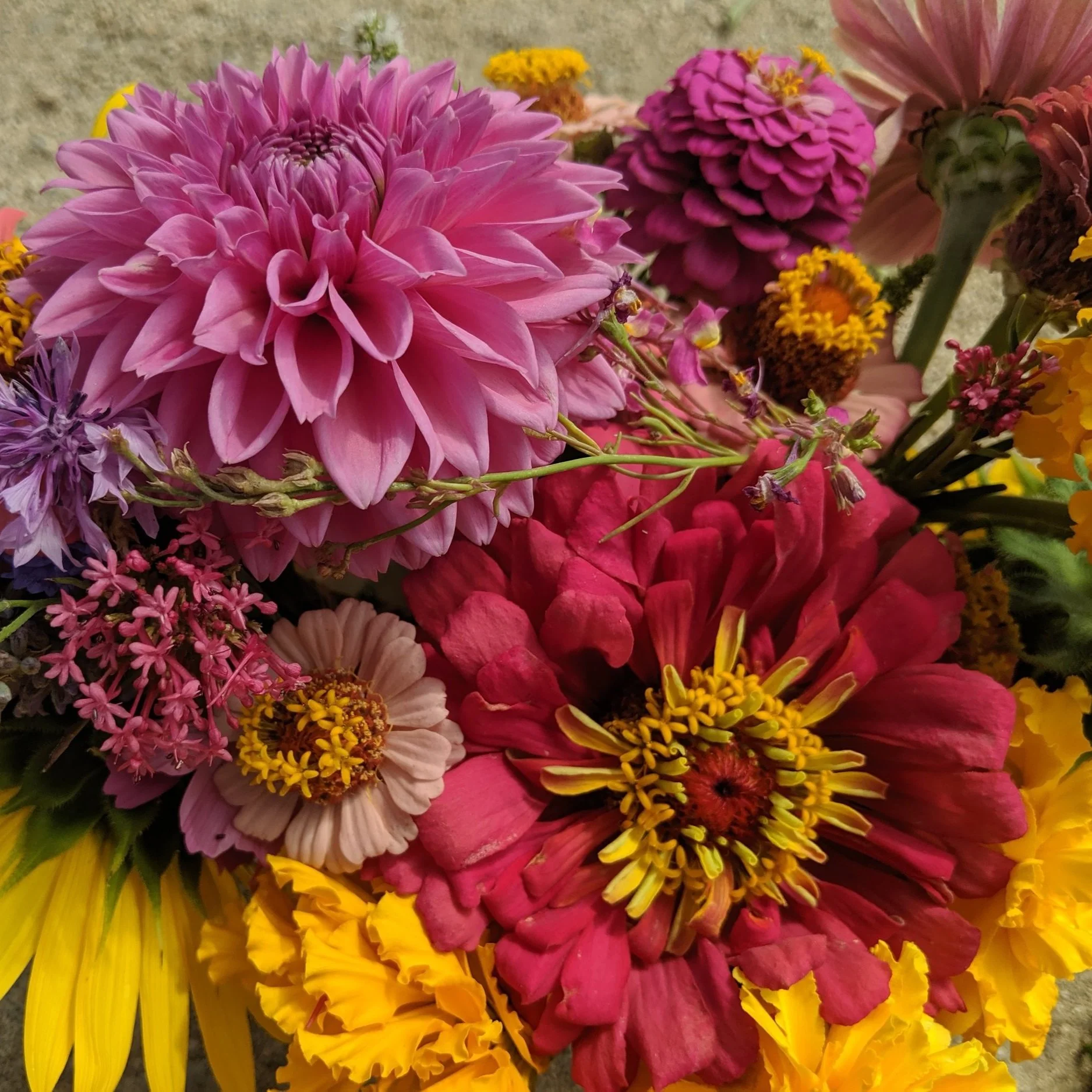 A bouquet of flowers.