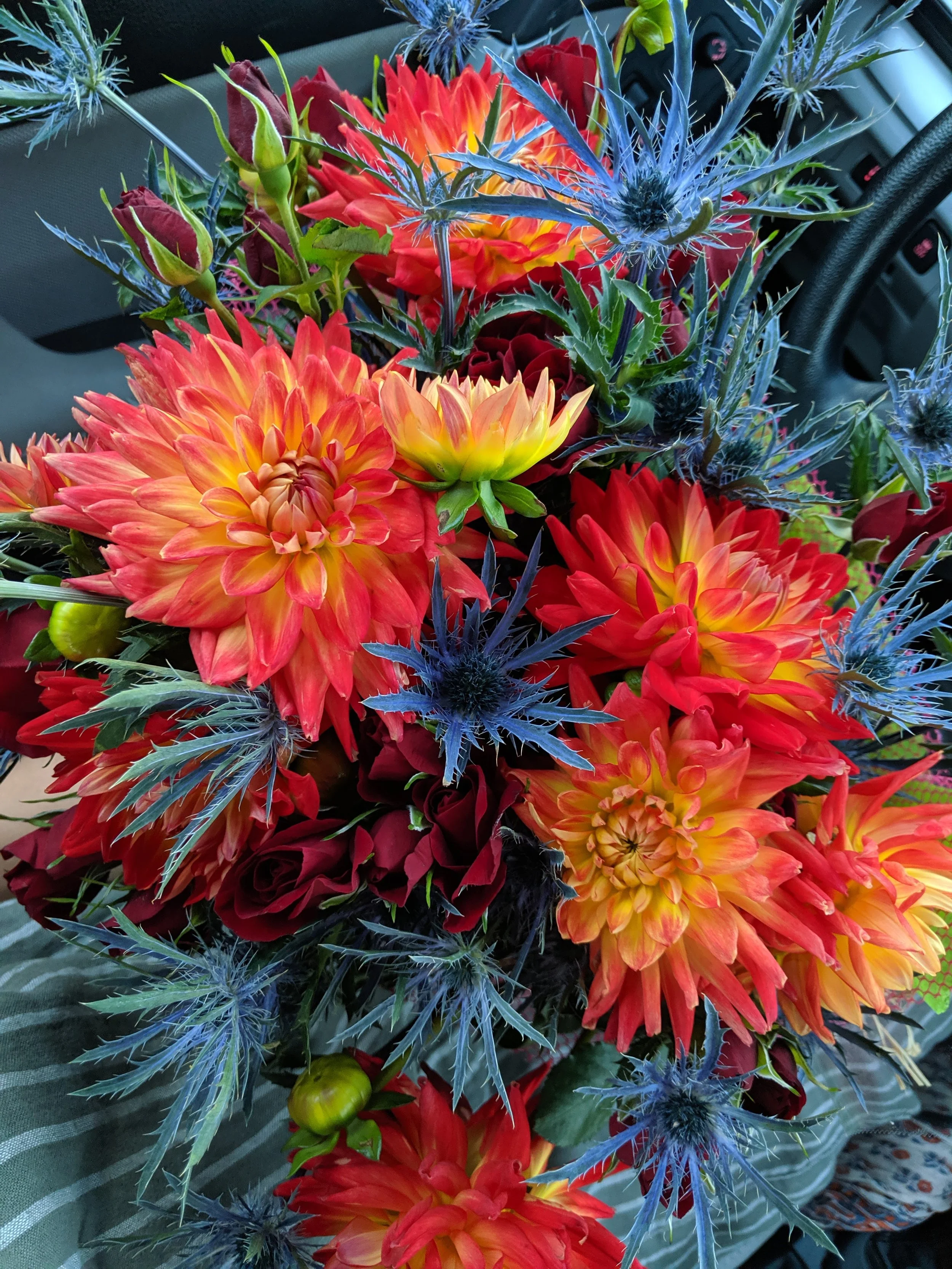 Spikey blue flowers and soft orange flowers.