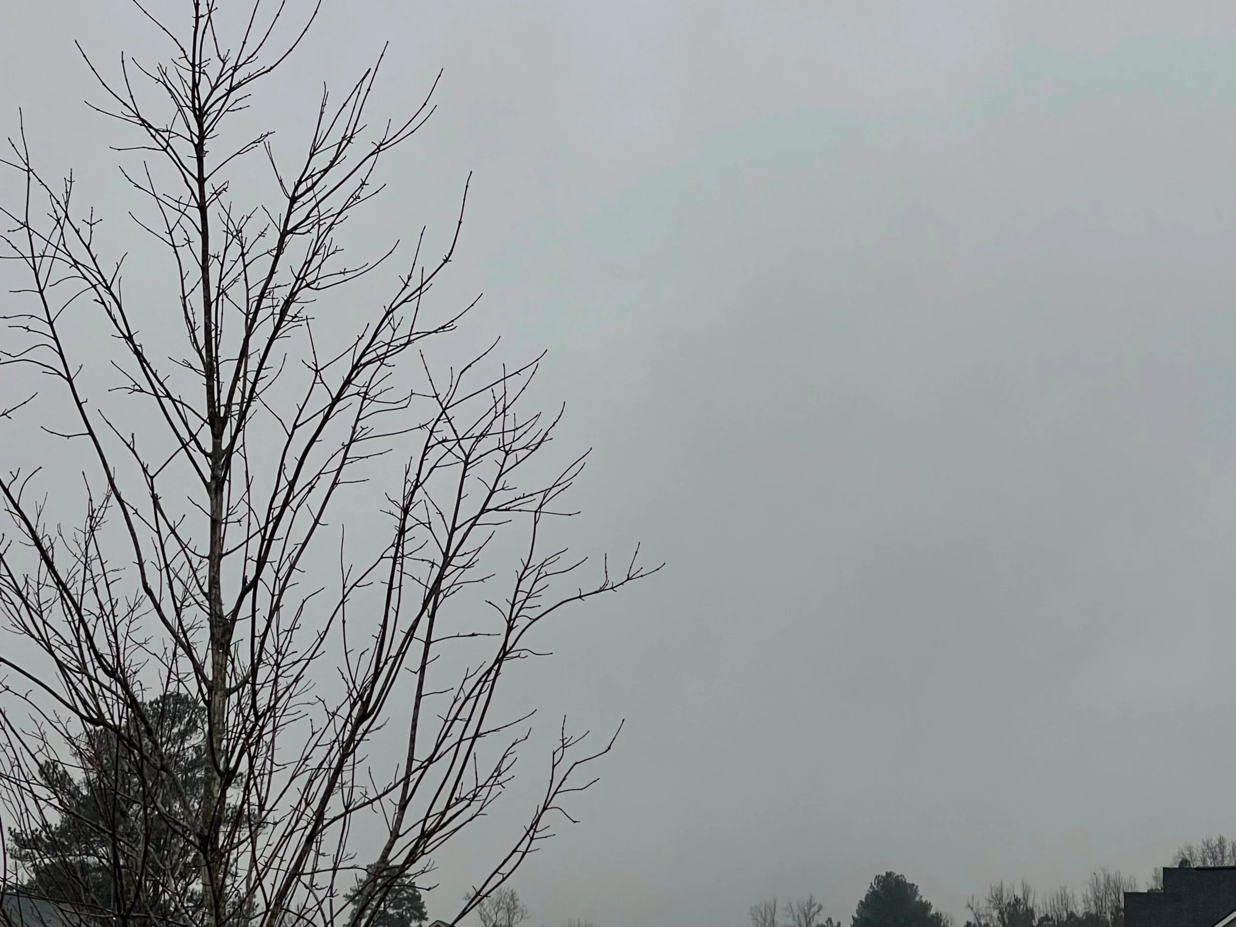 “Things To Do In Atlanta on a Rainy Day”