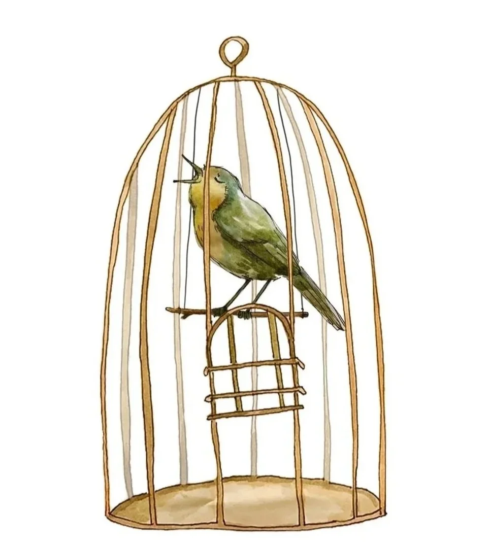 Bird%252Bin%252BCage%252B-%252BDP%252B%2525281%252529.jpg