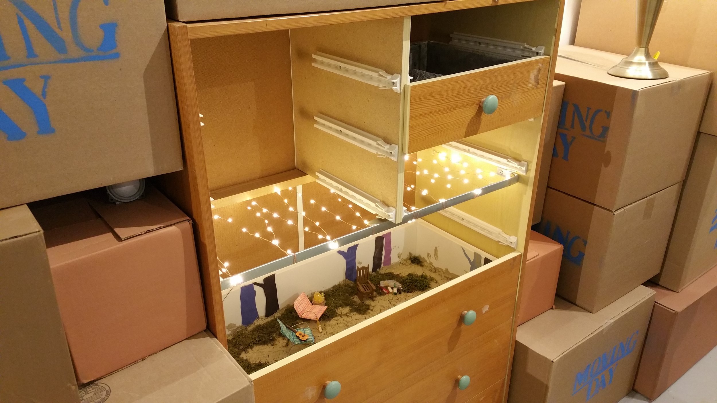 20150412_115409.JPG