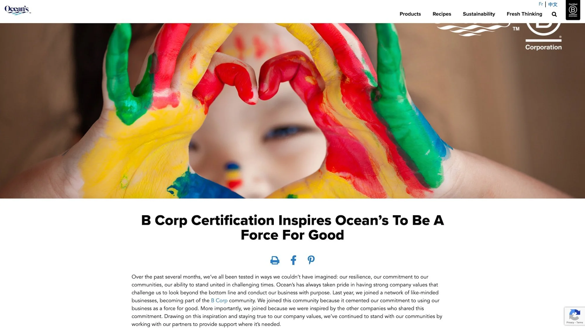  BCorp Certiication Inspires Ocean’s to be a Force for Good  