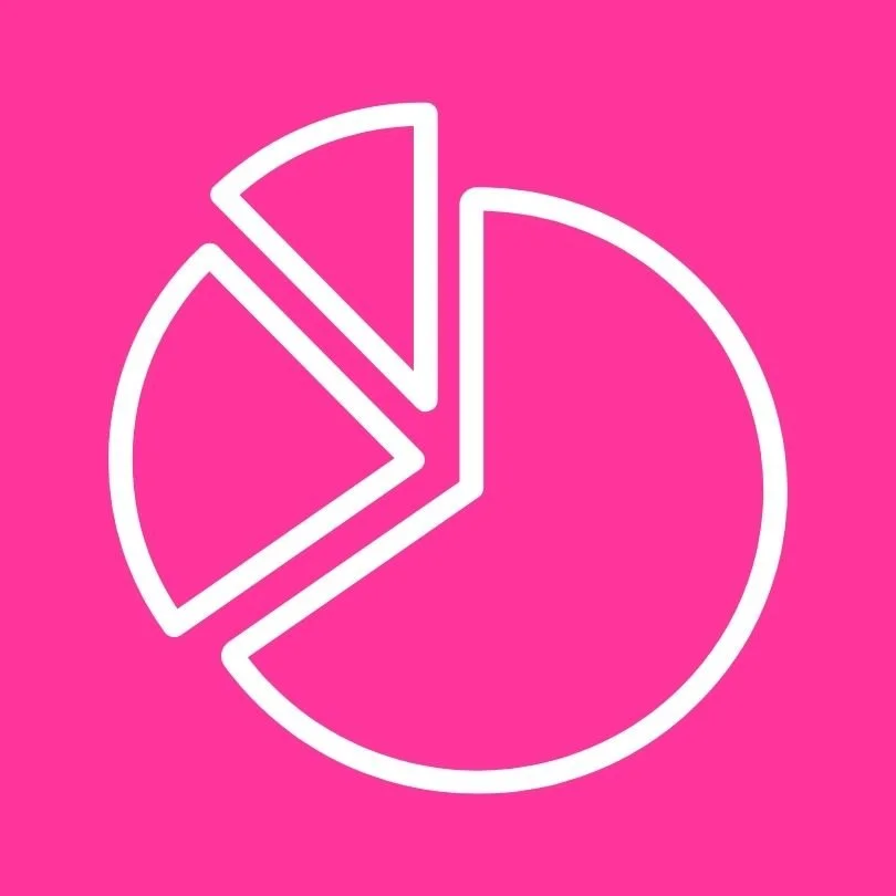 pie with two slices icon