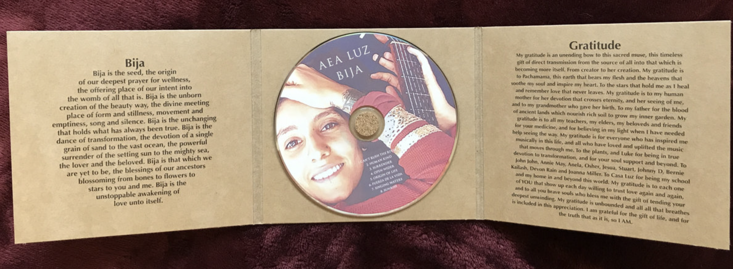 Screen Shot 2022-06-28 at 1.18.49 PM.png