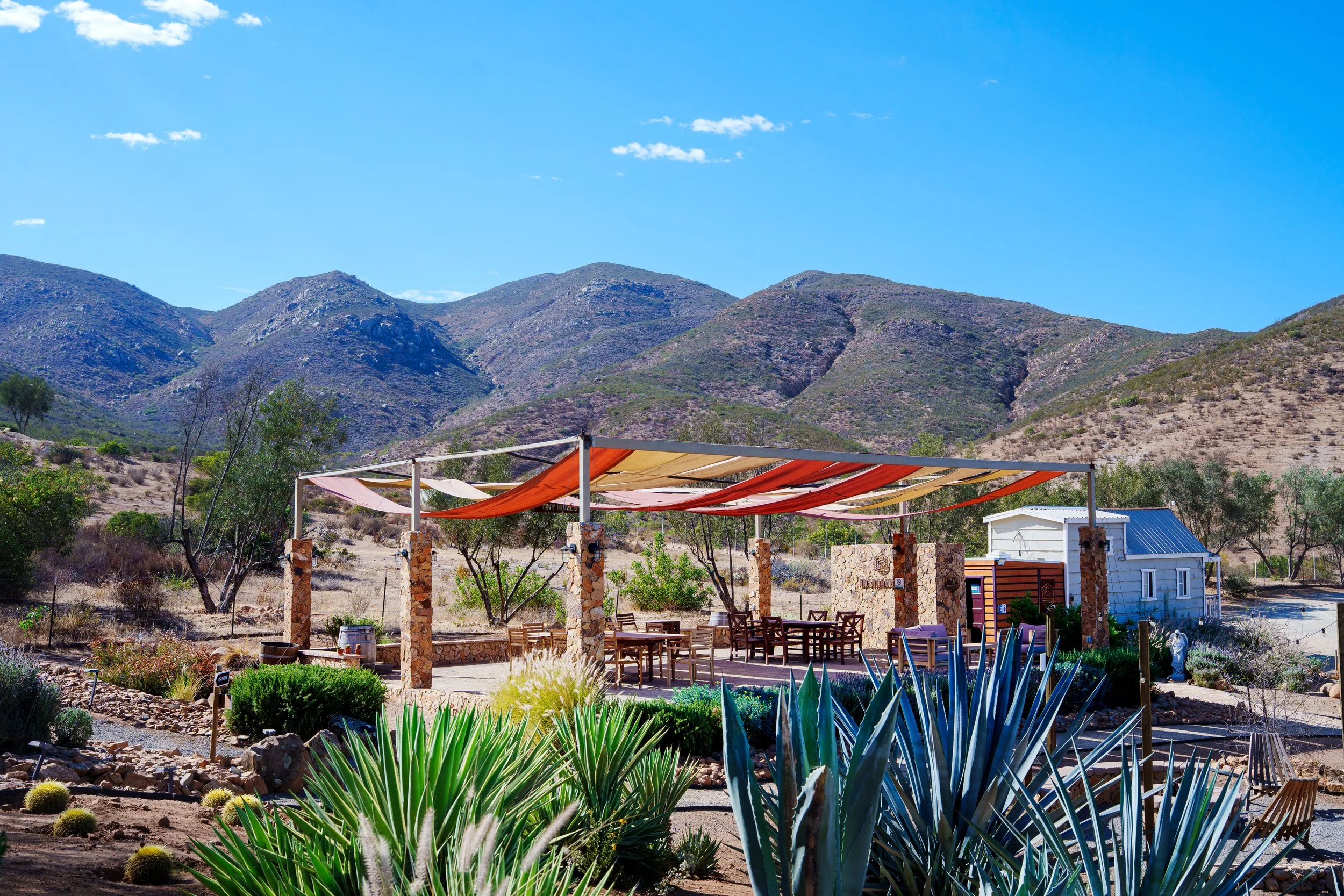 An outdoor garden area with tables and chairs under a pergola draped with fabric, surrounded by desert plants and cacti, with dry hills and mountains in the background under a blue sky.