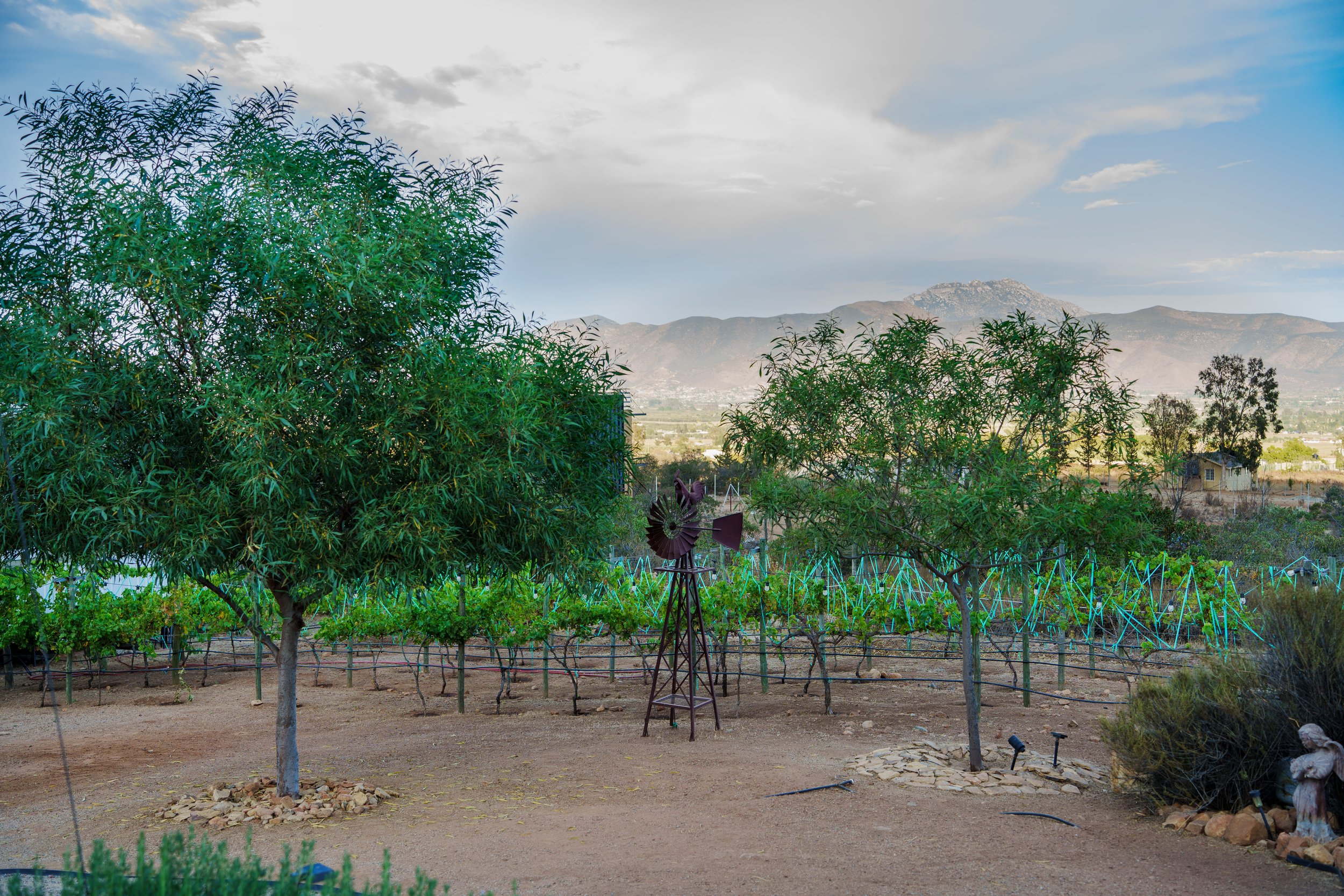 A garden scene with trees, a windmill ornament, and a backdrop of mountains under a partly cloudy sky.