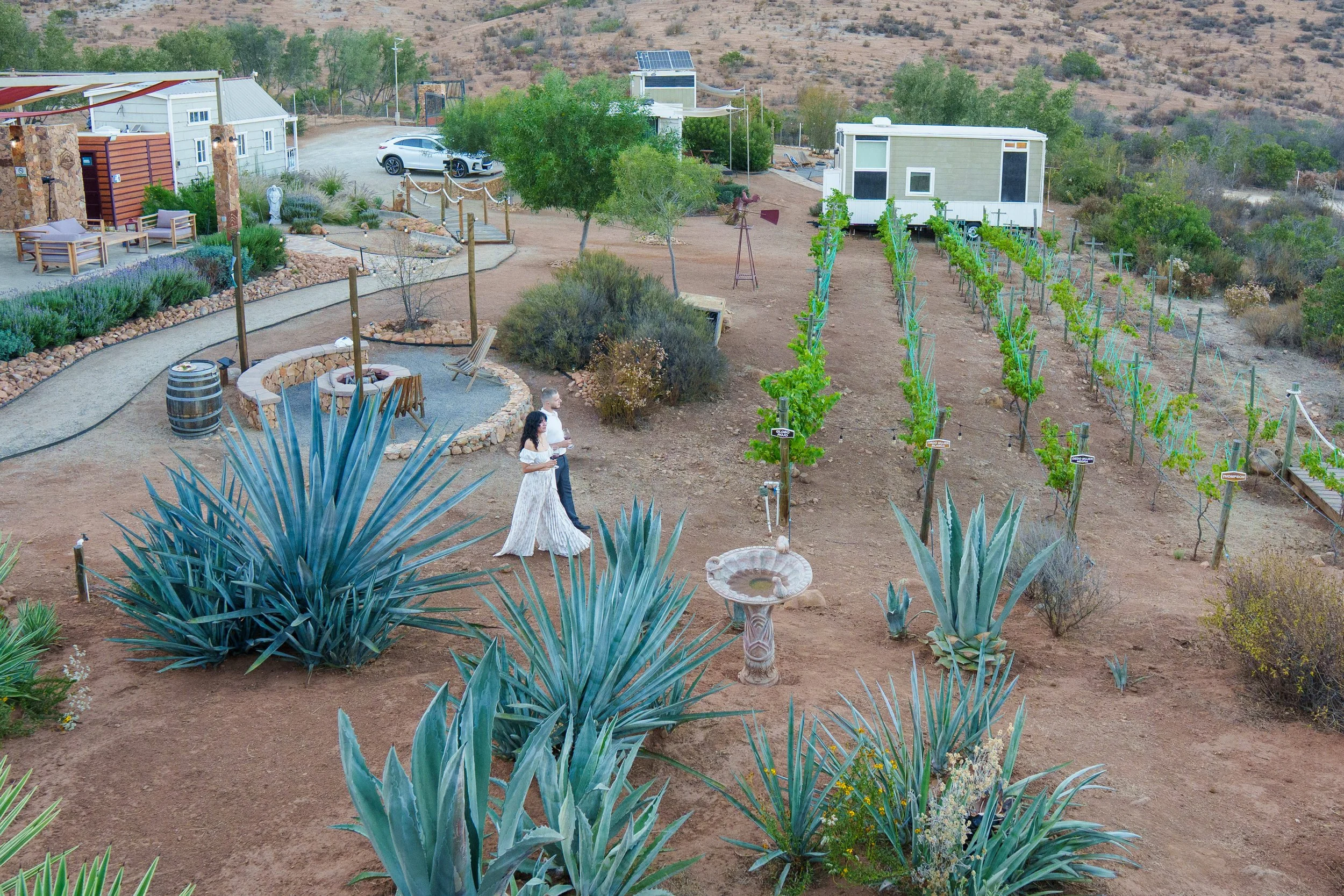 A daytime outdoor scene of a landscaped garden with desert plants, including large agave, shrubs, and trees. There are pathways, a couple walking, and various structures like a house, mobile home, and a vine-covered trellis. The area is in a semi-ari