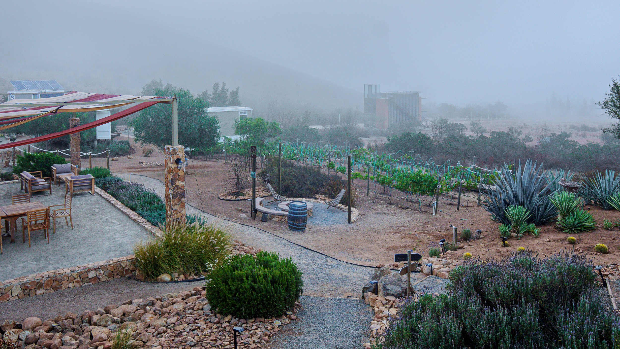 A foggy outdoor garden and patio area with seating, plants, and vineyard rows, with mountains faintly visible in the background.