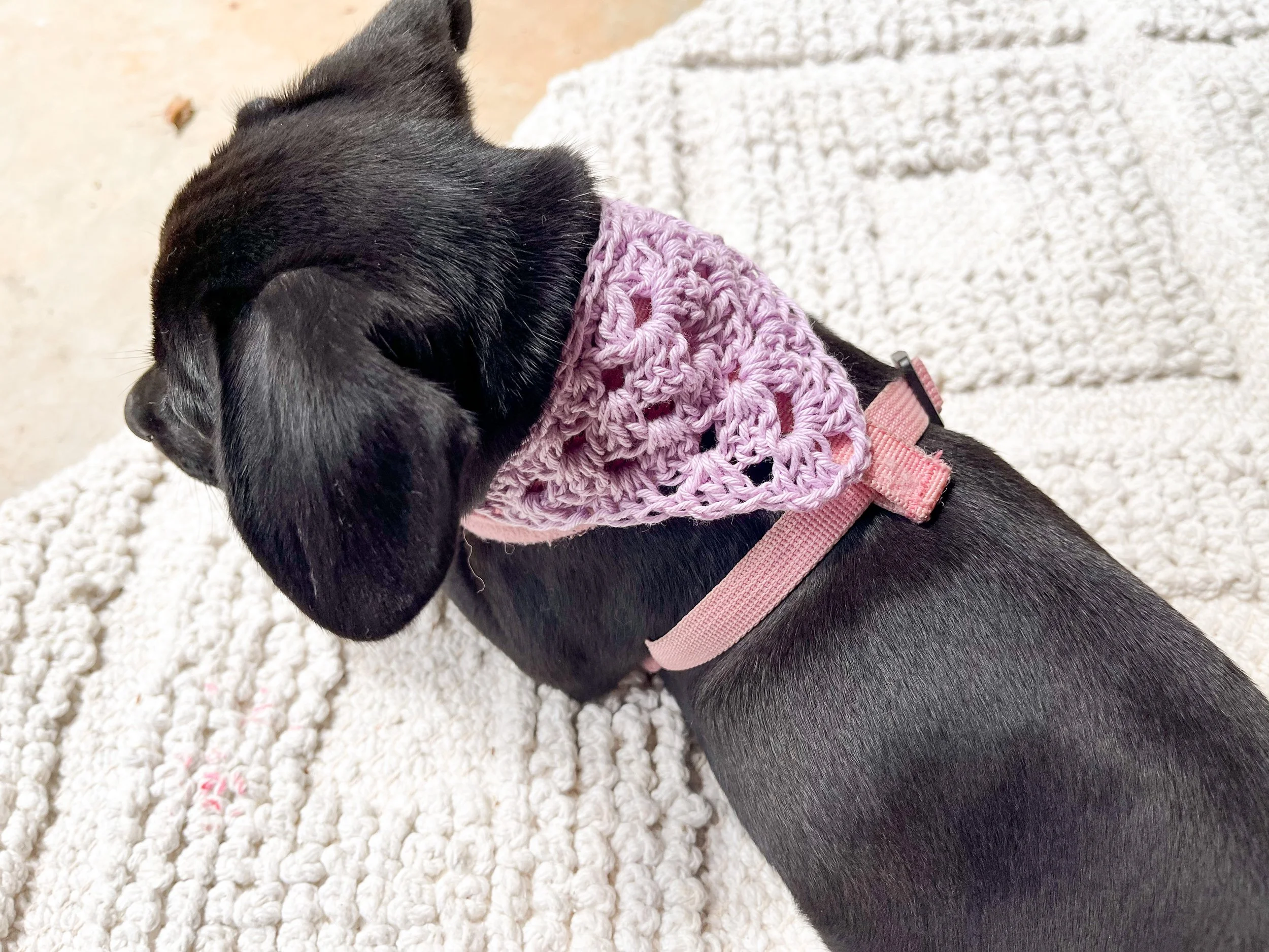How to Crochet a Pet Bandana — bags by bento