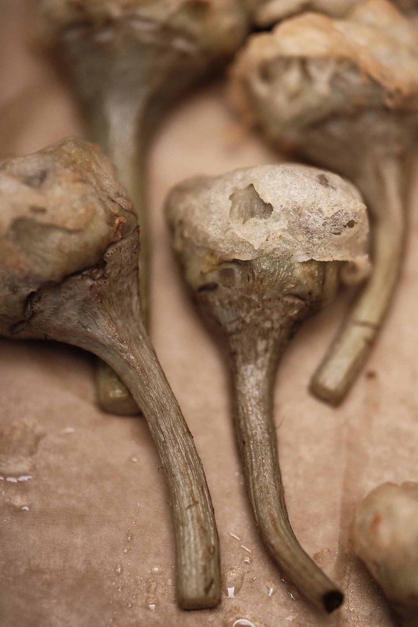 Baked and lightly battered turned purple artichokes. Gauthier Soho, London, England, UK, 2024. Nathalie Merle / We Animals